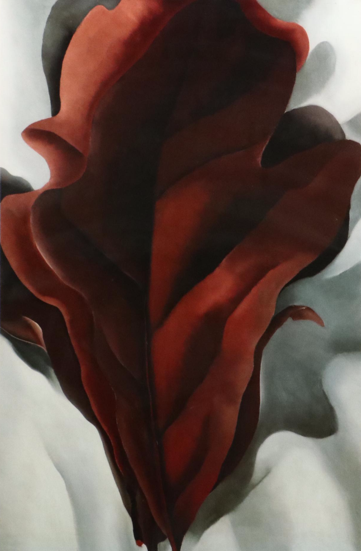 Offset Lithograph After Georgia O'Keeffe "Large Dark Red Leaves on White"