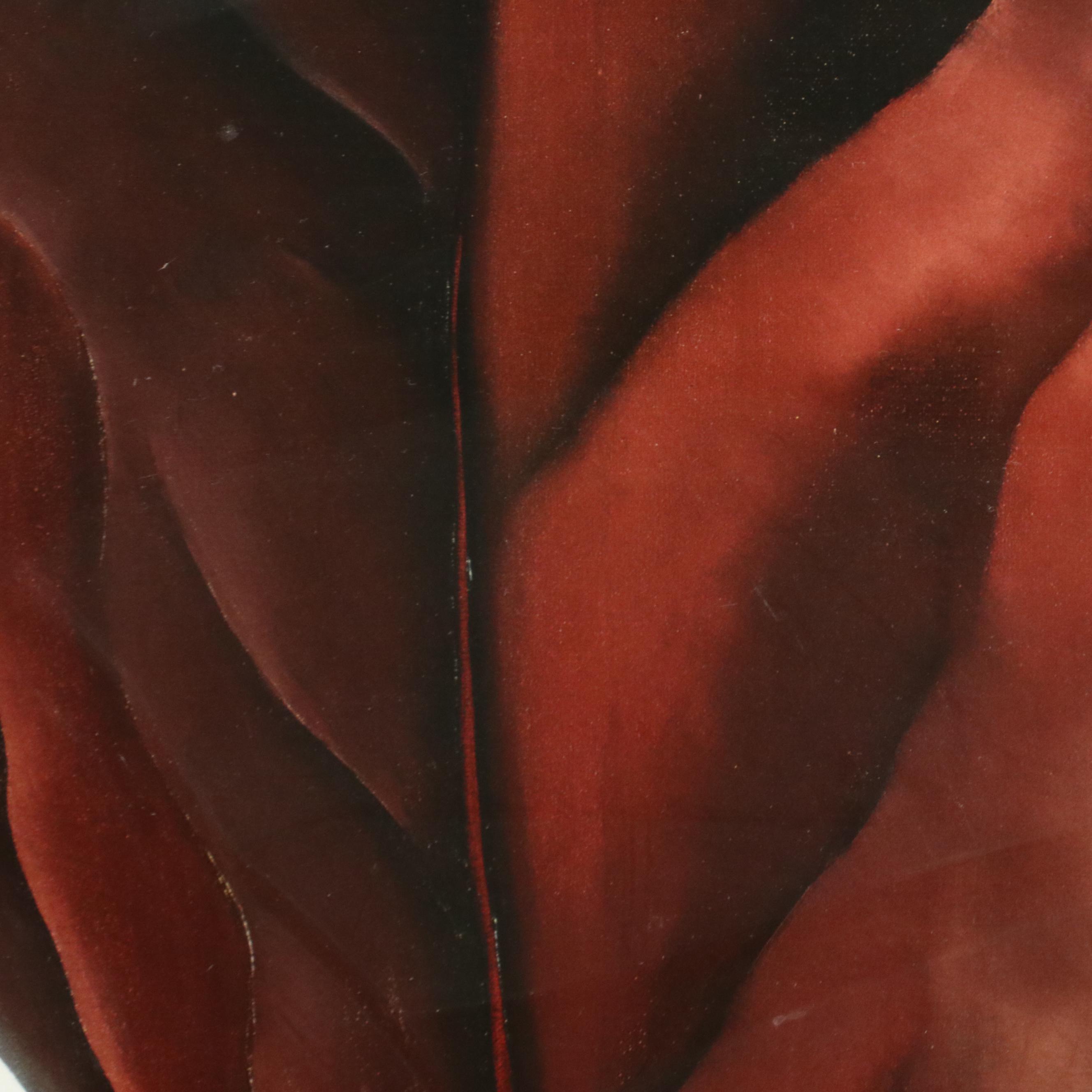 Offset Lithograph After Georgia O'Keeffe "Large Dark Red Leaves on White"