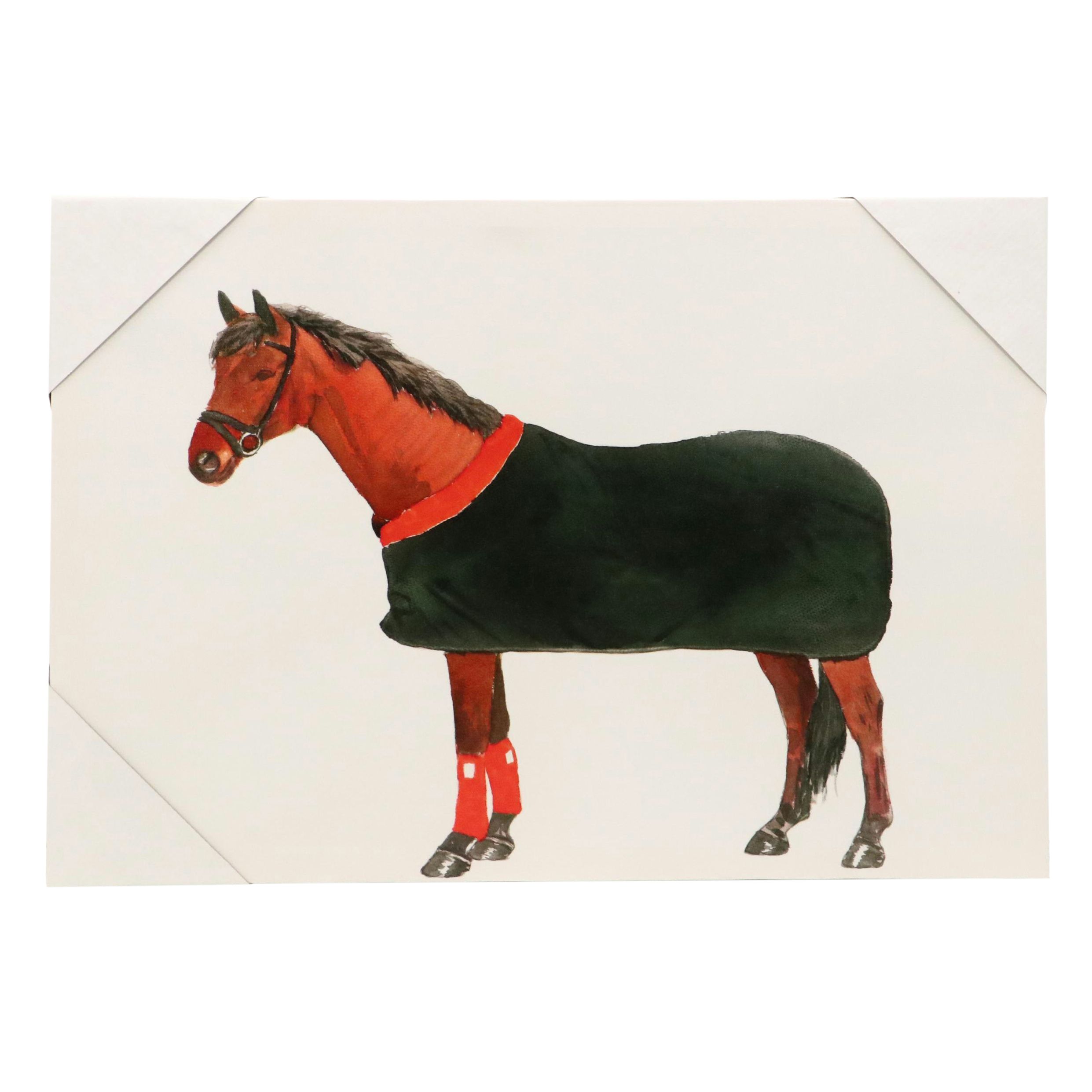 Giclée of Horse Wearing Red and Black Fleece, 21st Century