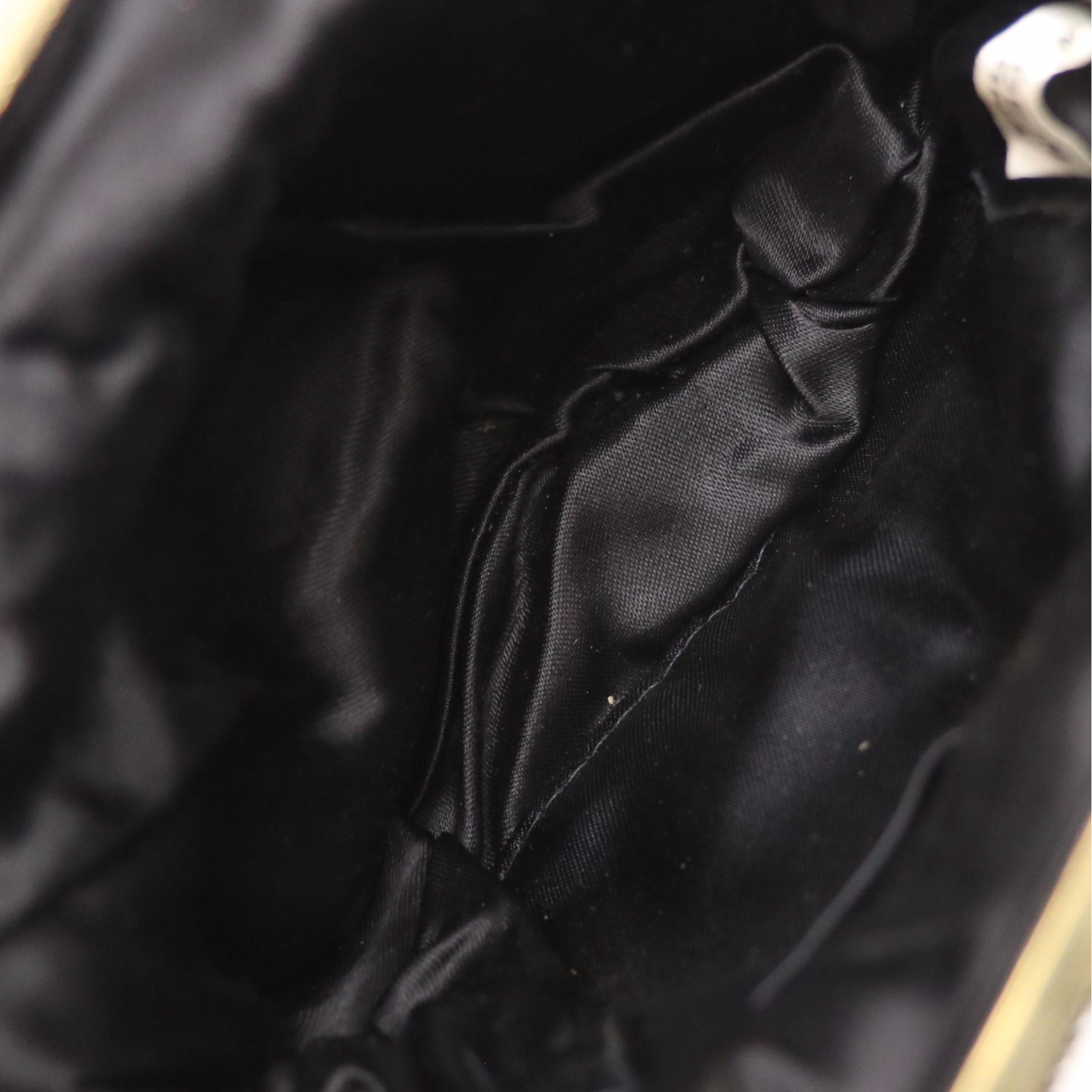 Garay Animal Printed Framed Handbag with Other Evening Bags and Gloves