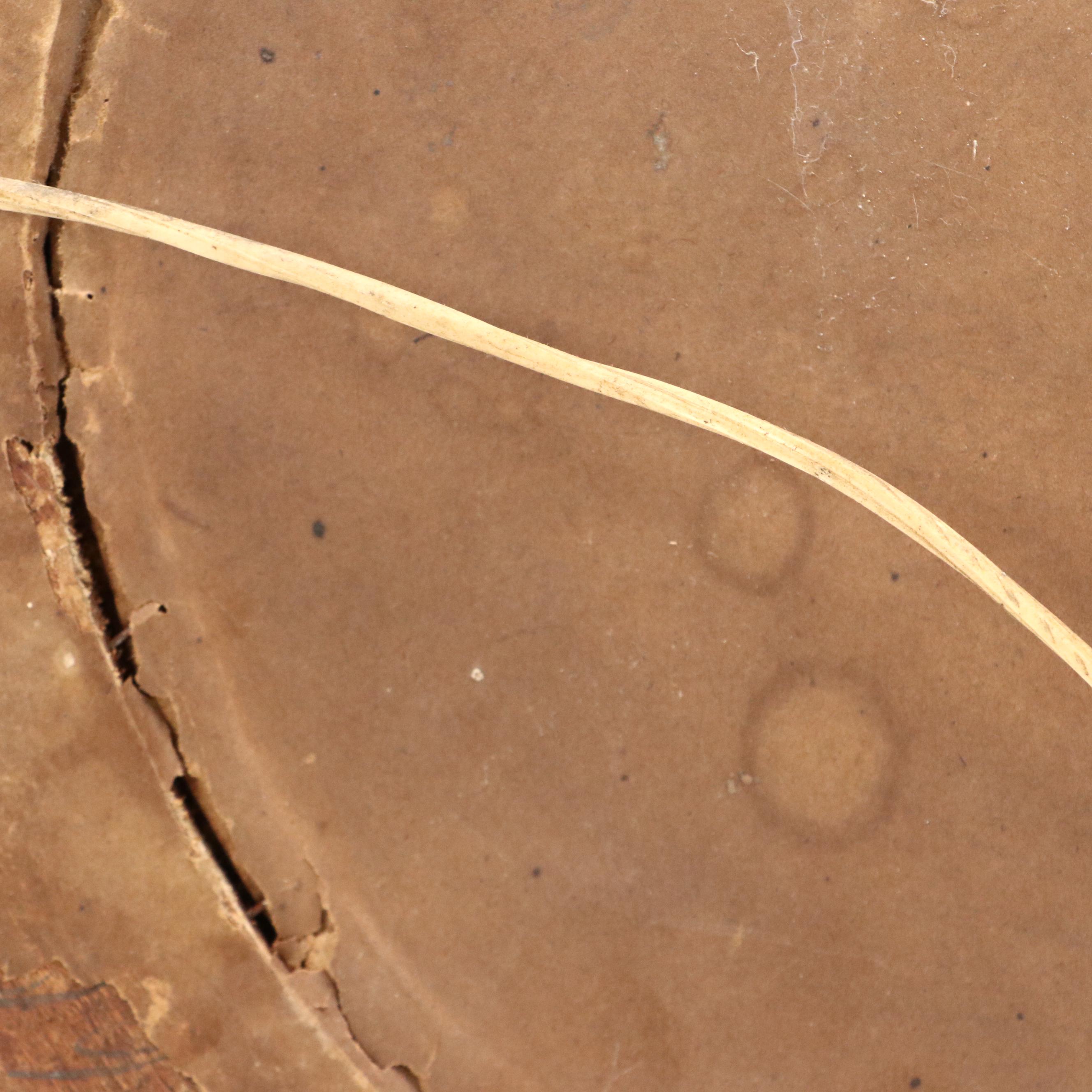 Portrait Photographs of Young Woman and Couple, Late 19th–20th Century