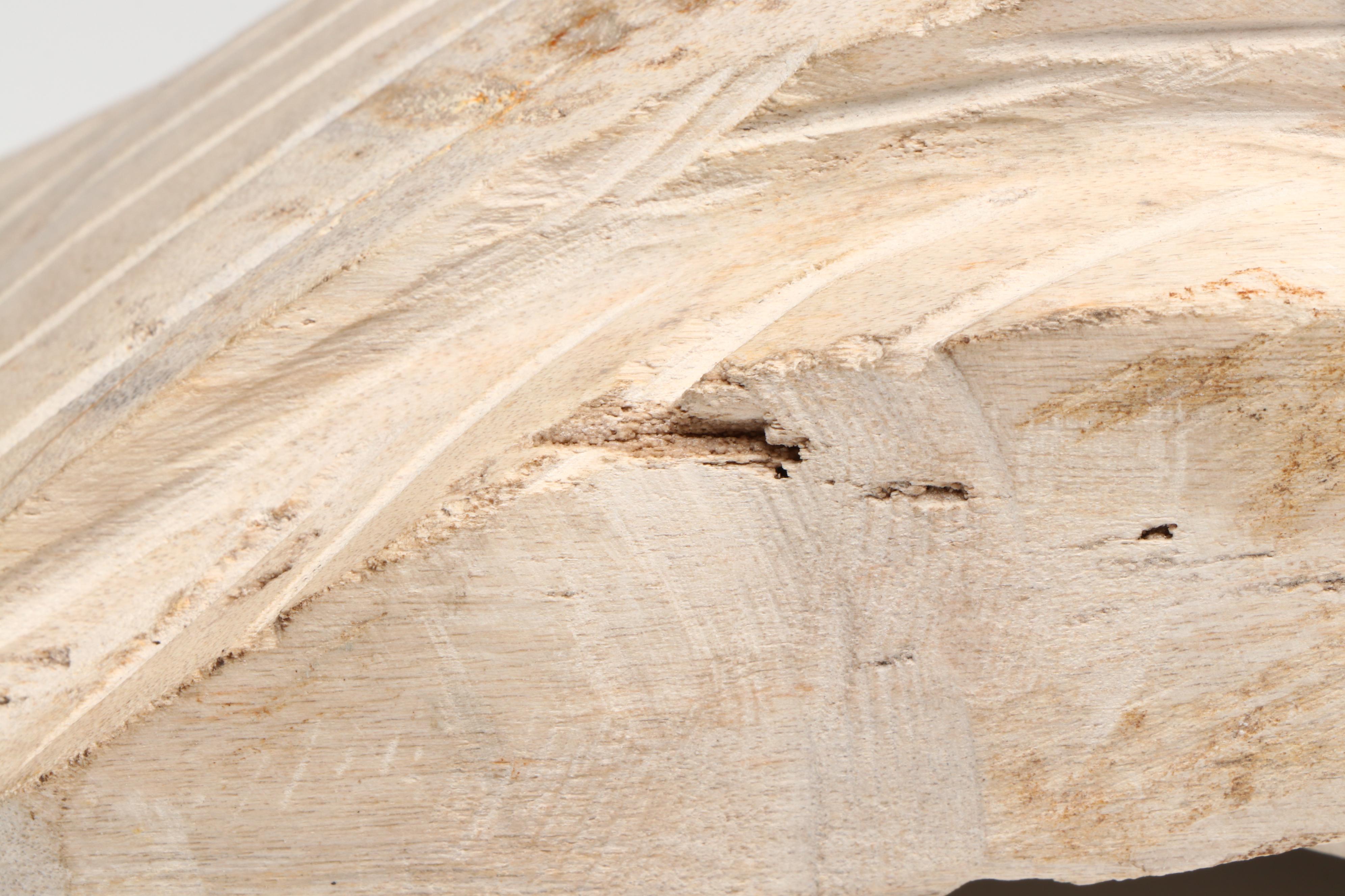 Carved Petrified Wood Fish Sculpture