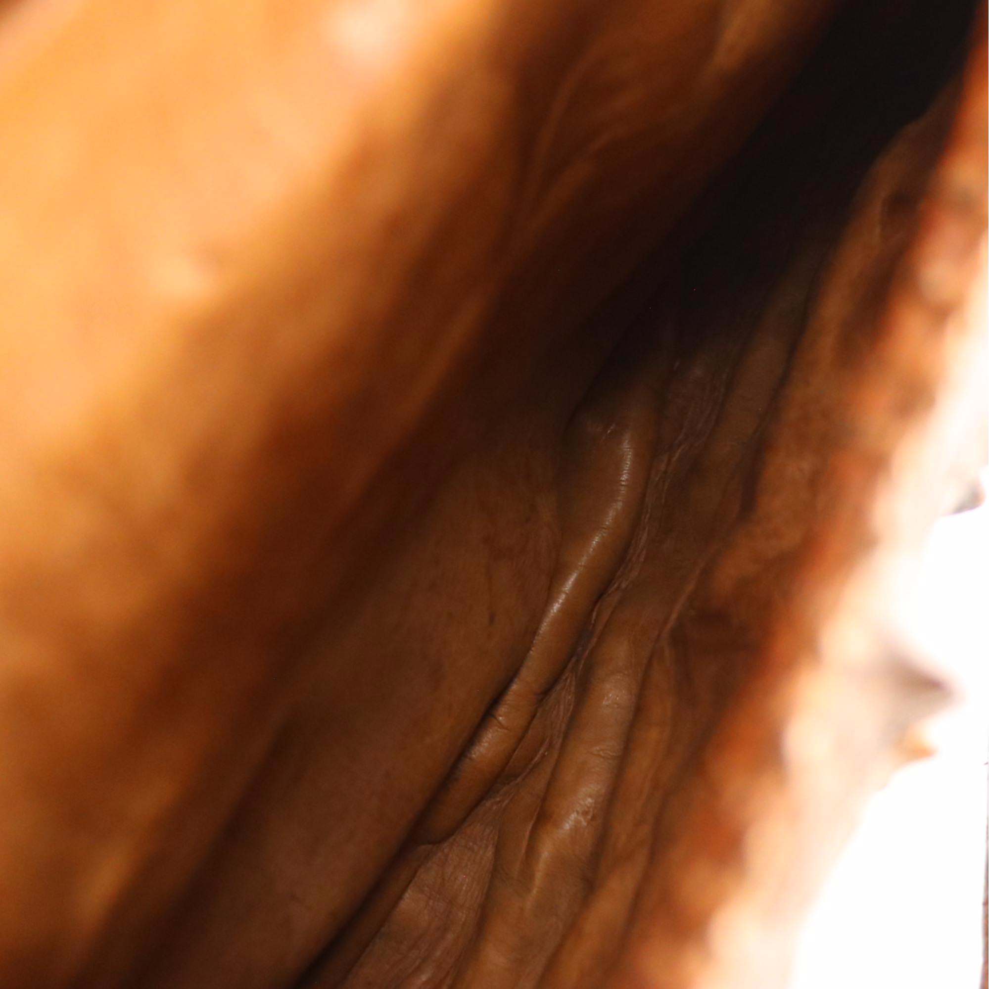 Hornback Alligator Skin Large Satchel