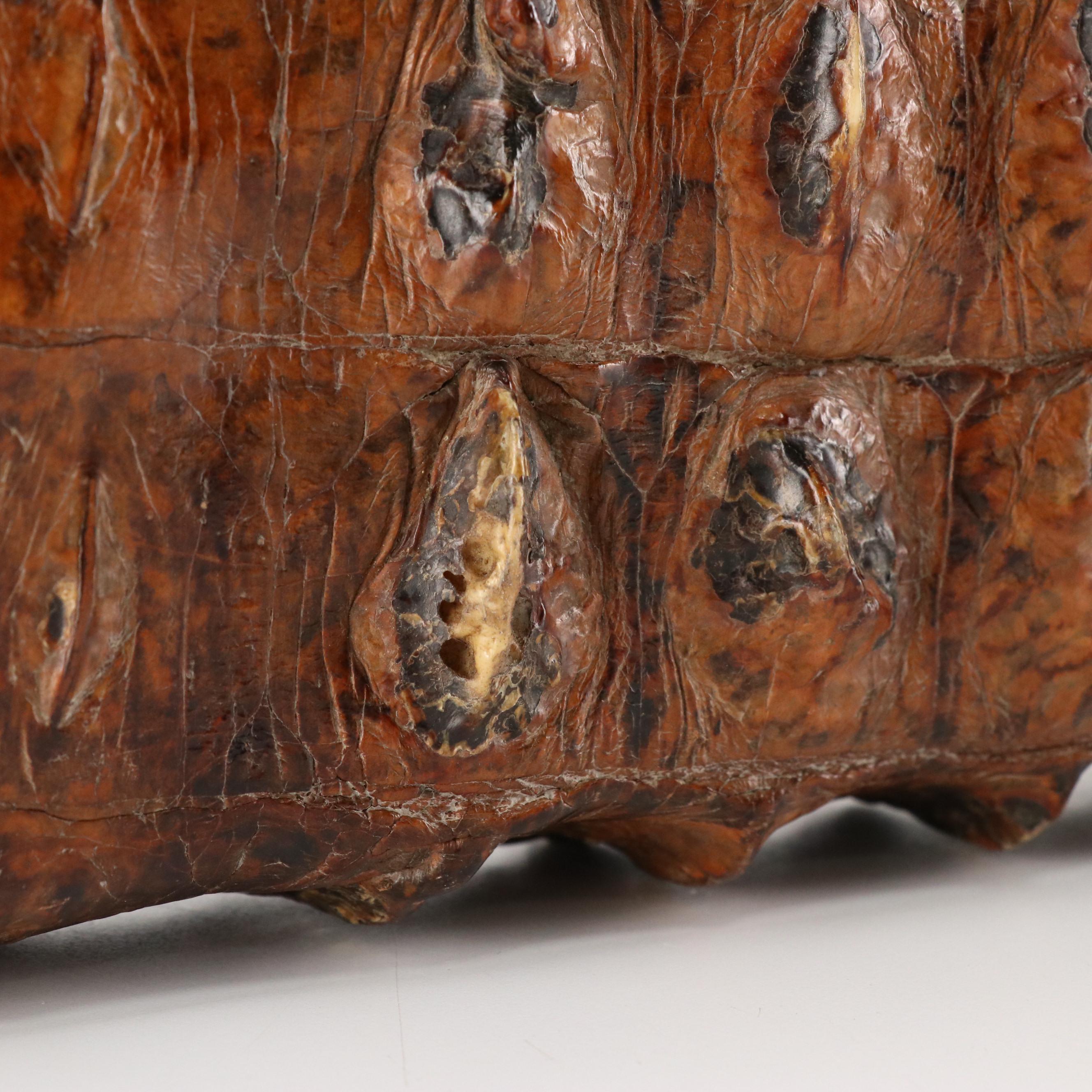 Hornback Alligator Skin Large Satchel