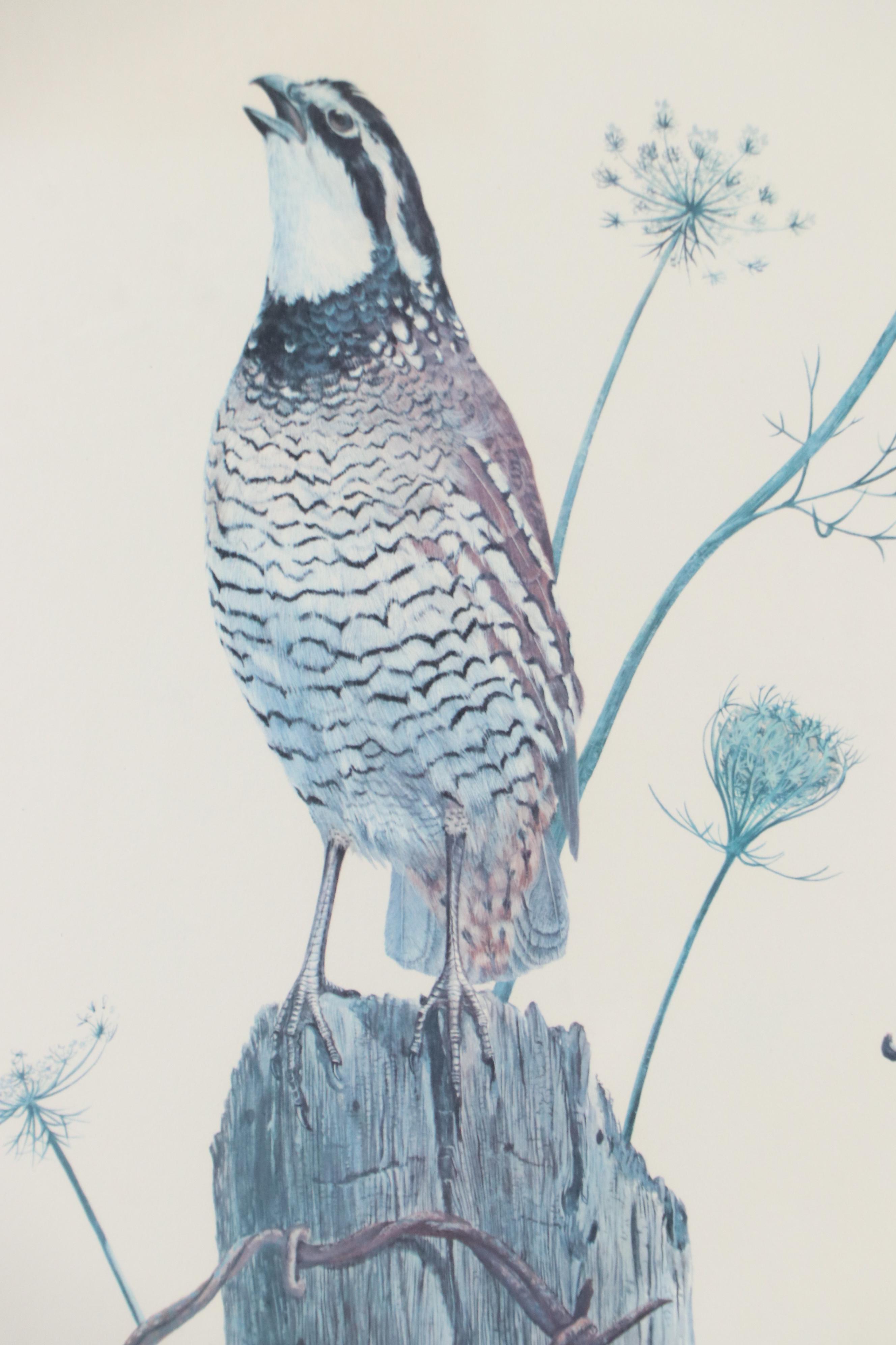 Ray Harm Offset Lithograph "Eastern Bob-White"