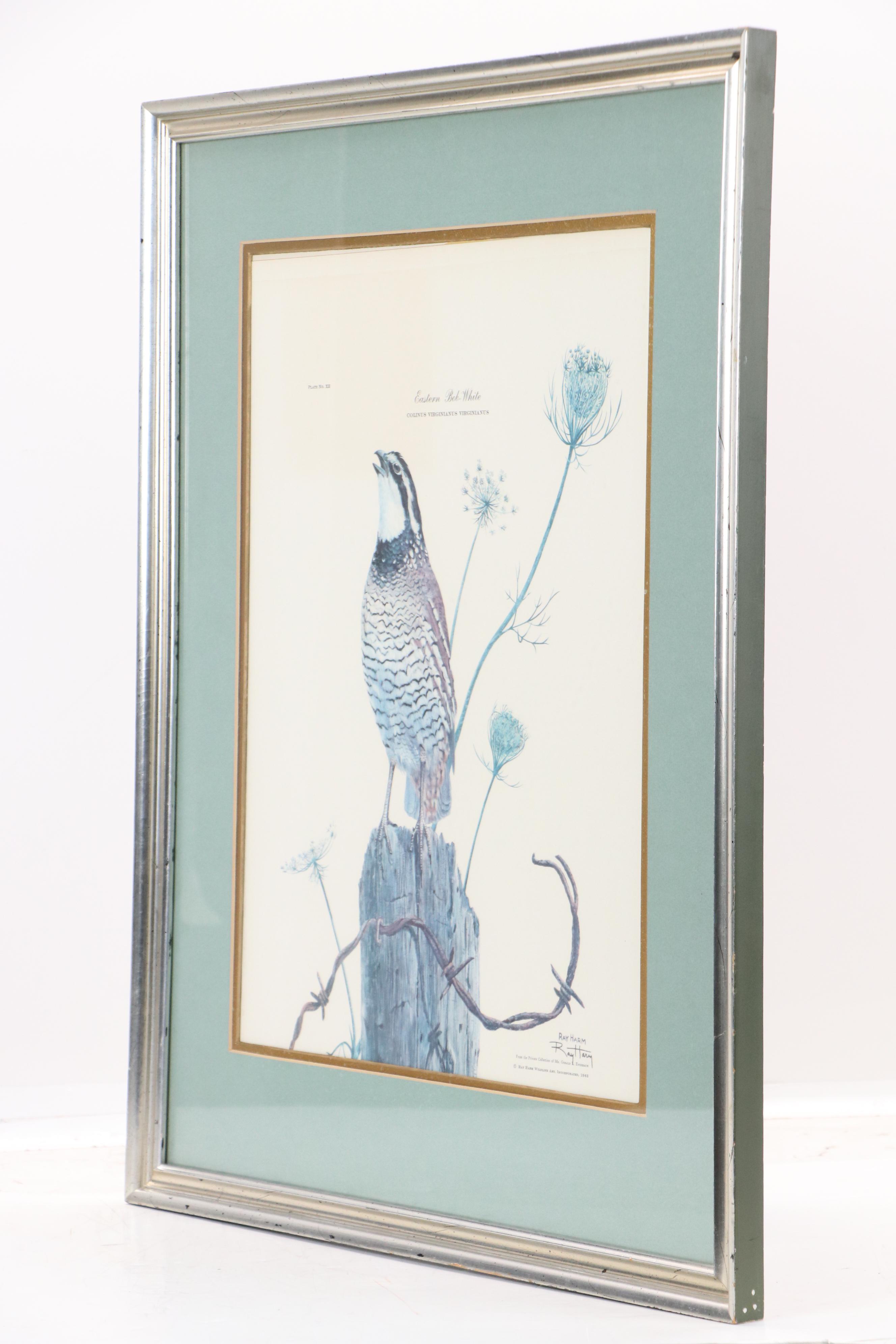 Ray Harm Offset Lithograph "Eastern Bob-White"