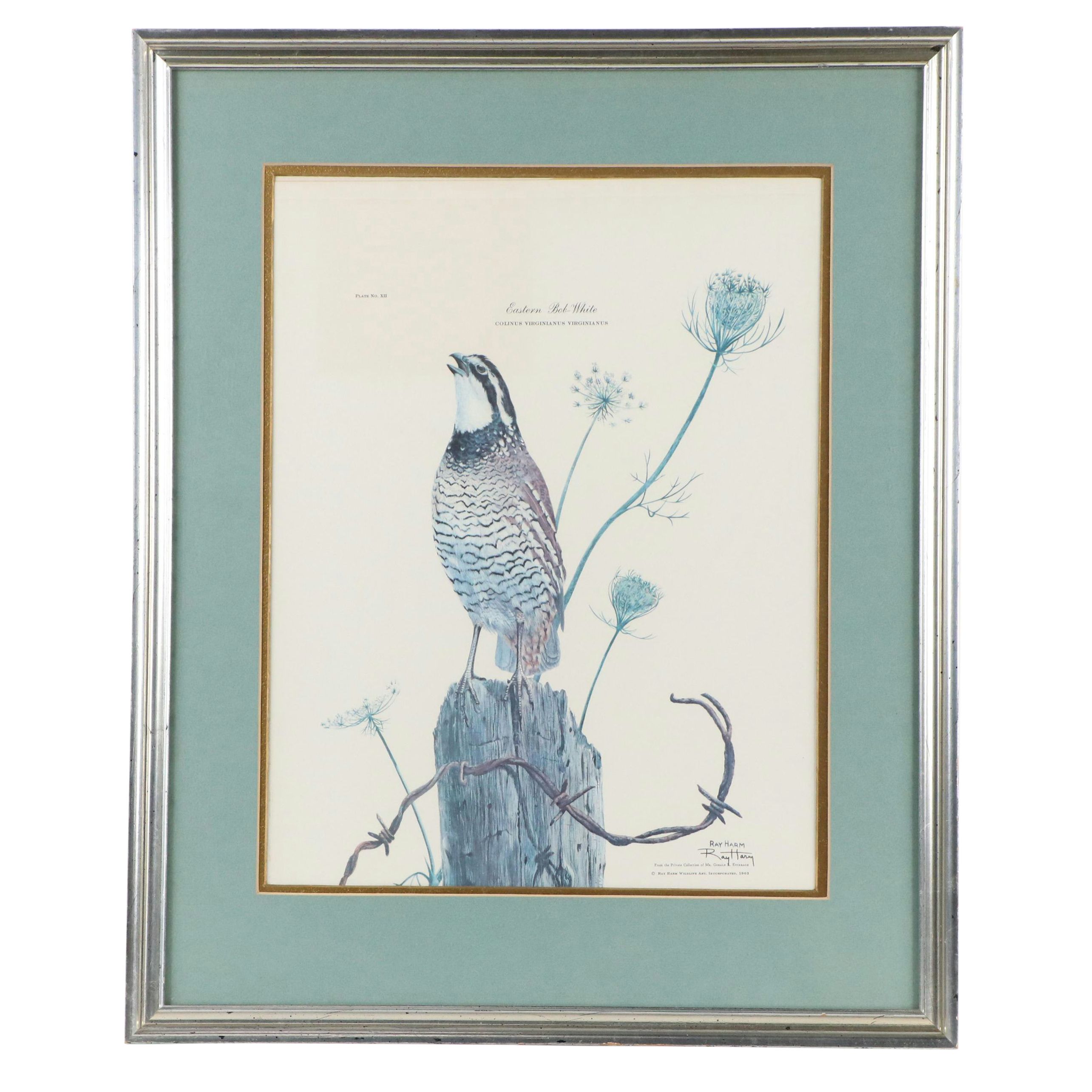 Ray Harm Offset Lithograph "Eastern Bob-White"
