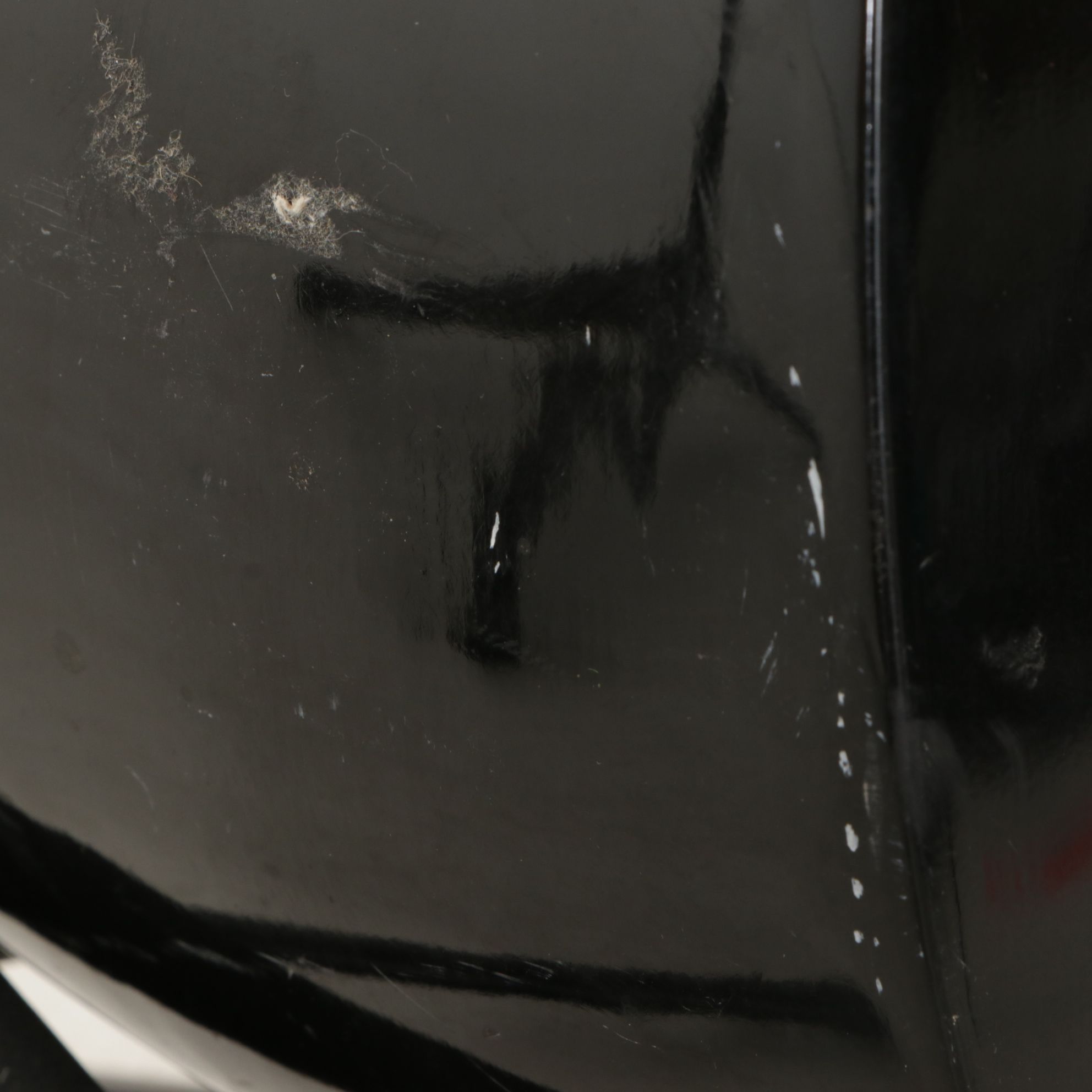 Tranquillo Giannini Mandolin & Turkish Saz Instruments