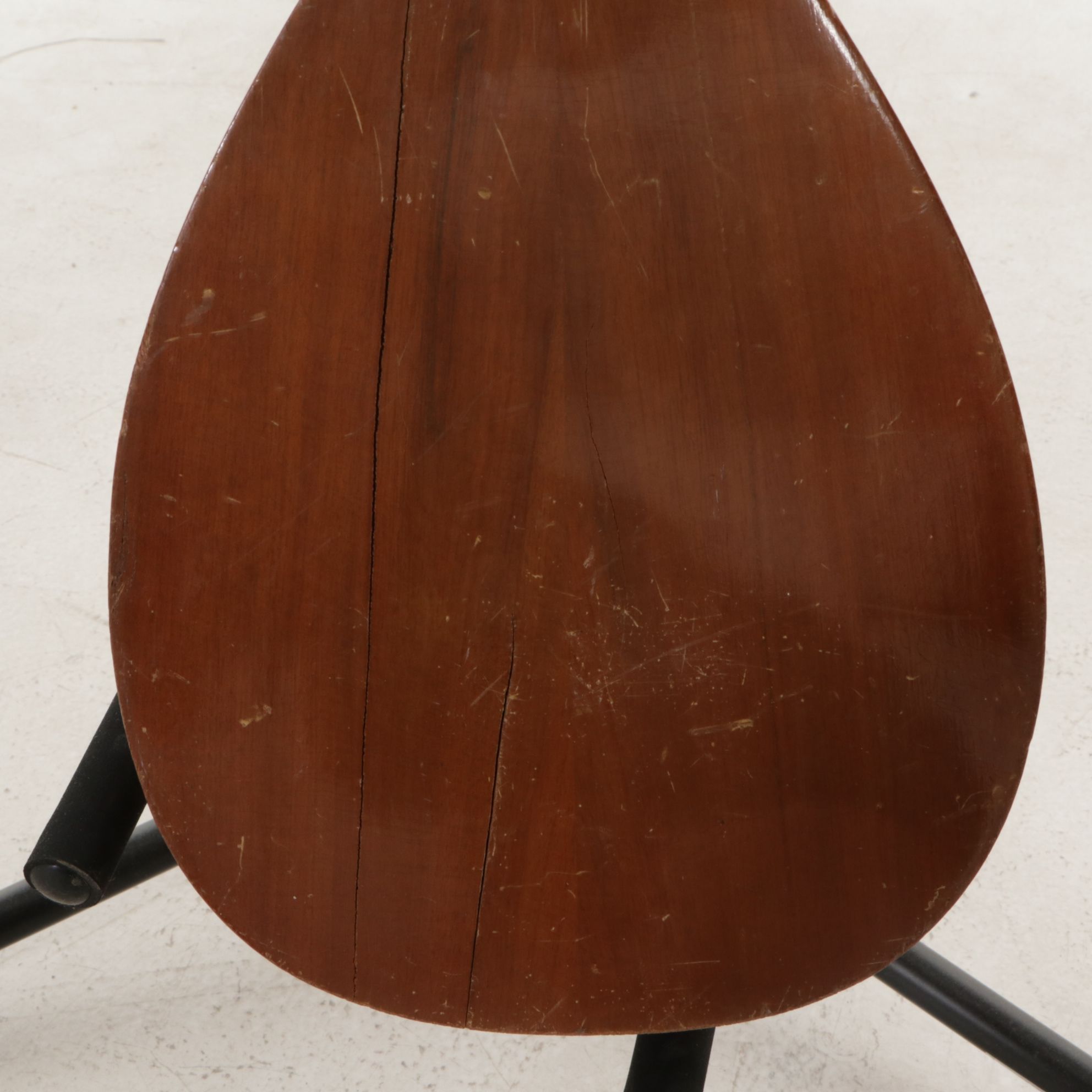 Tranquillo Giannini Mandolin & Turkish Saz Instruments