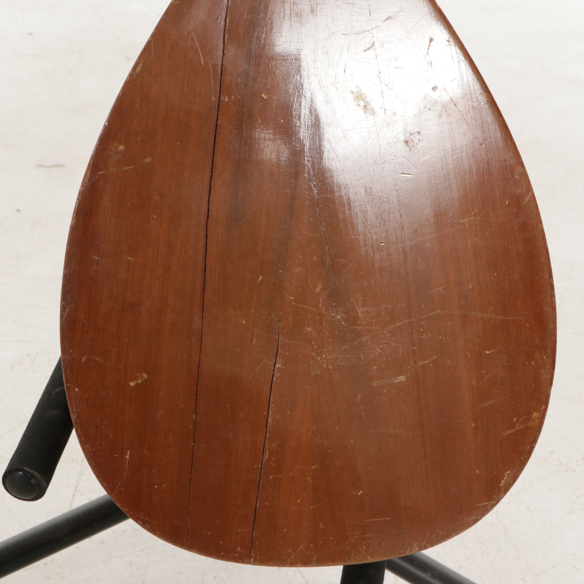 Tranquillo Giannini Mandolin & Turkish Saz Instruments