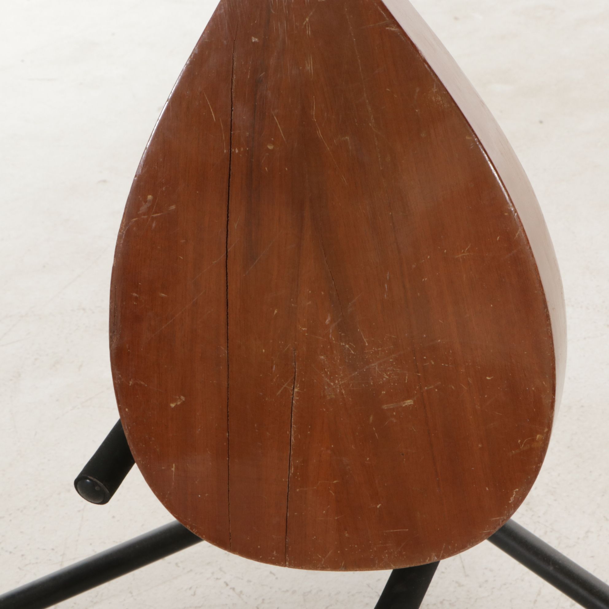 Tranquillo Giannini Mandolin & Turkish Saz Instruments