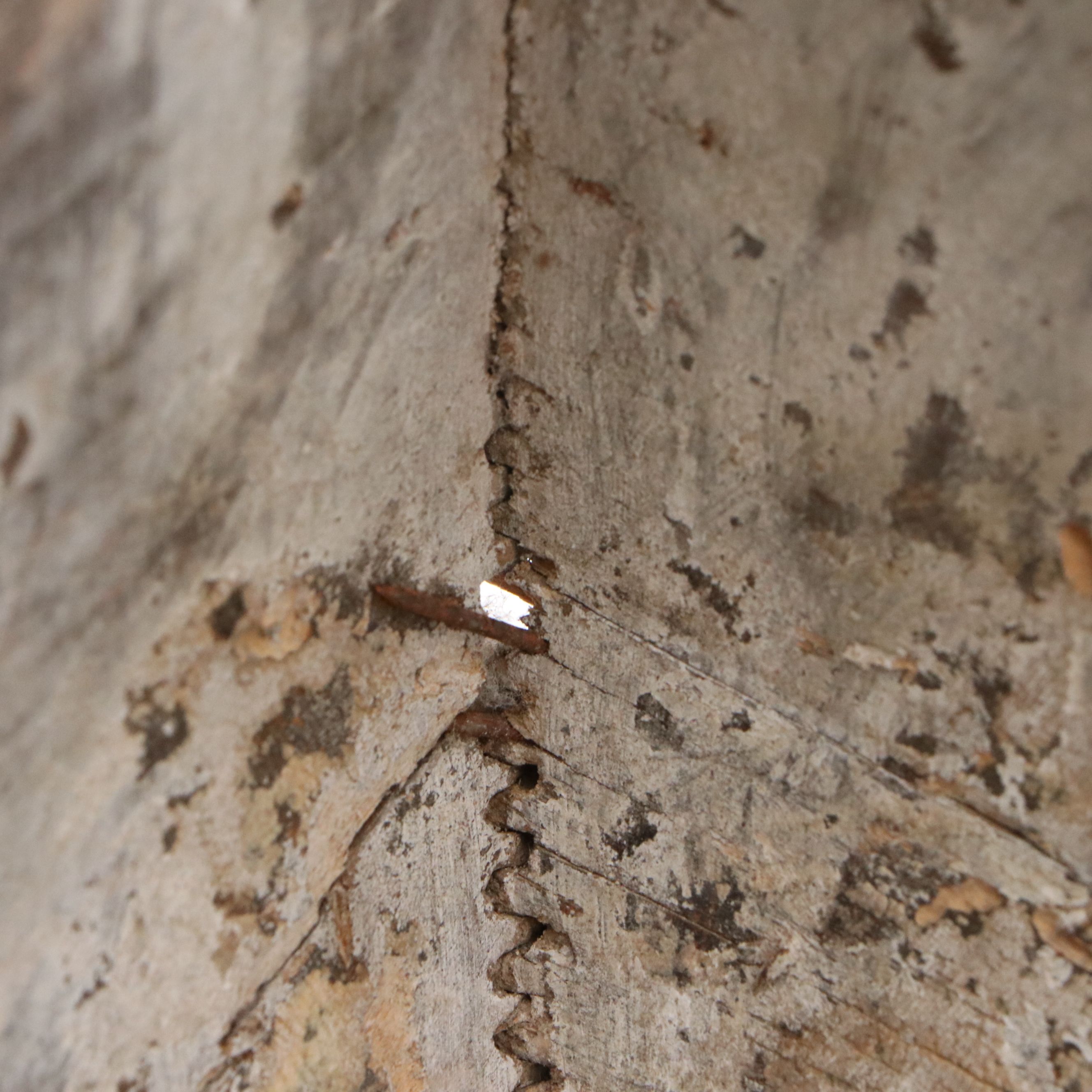 Antique Chinese Wooden Rice Bucket