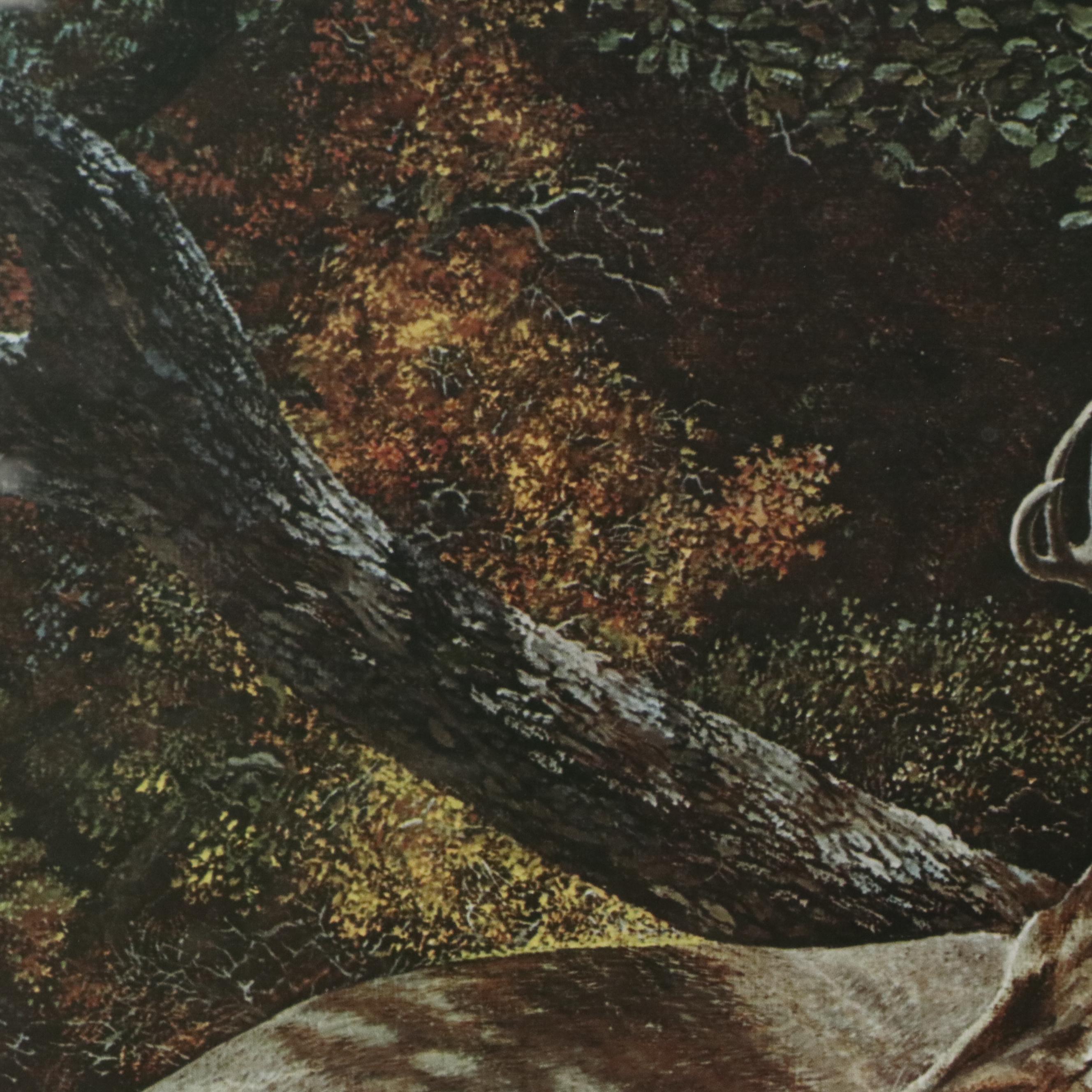 After Travis Keese Offset Lithograph "White Tail Deer," Circa 1970