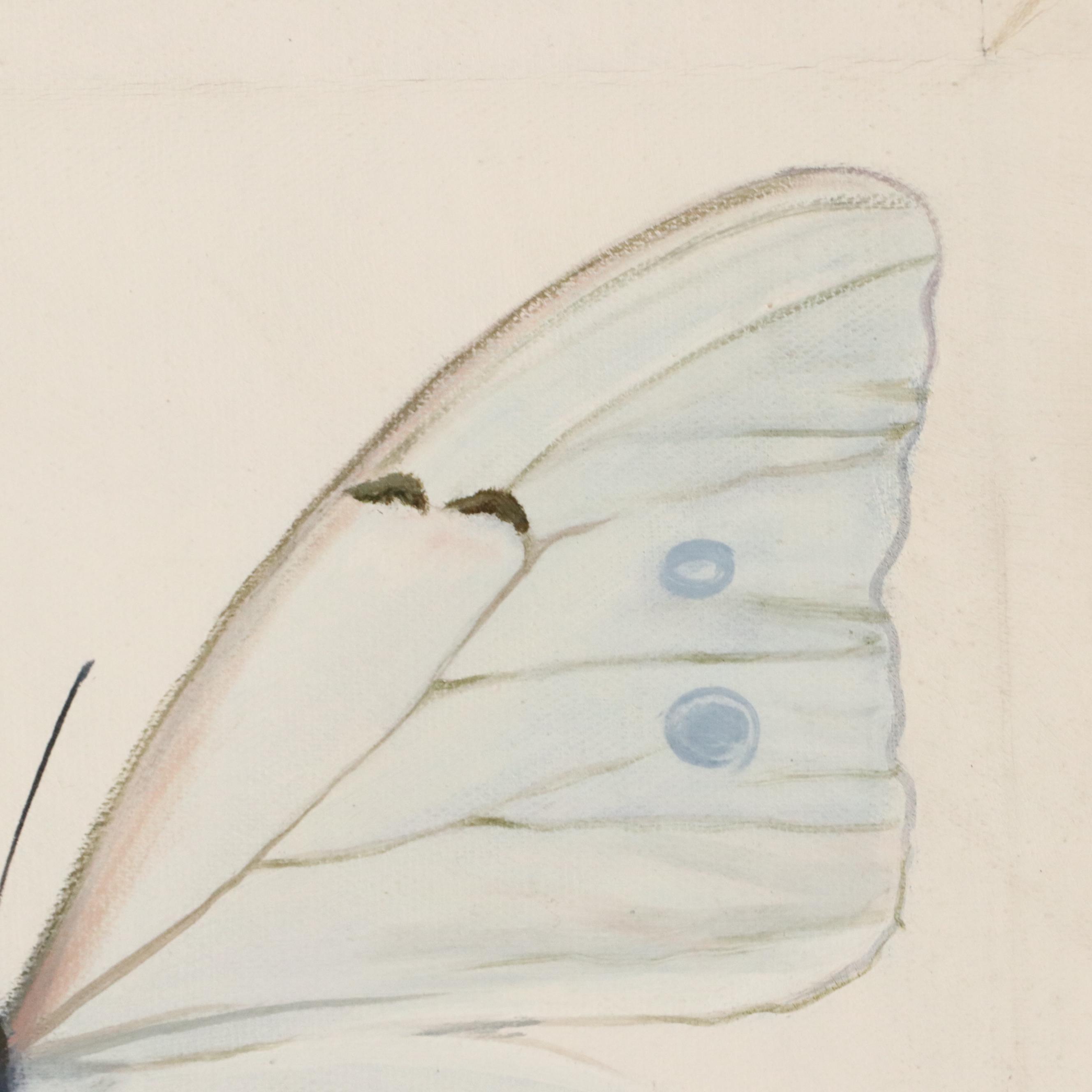 Castello Oil Painting of a Butterfly