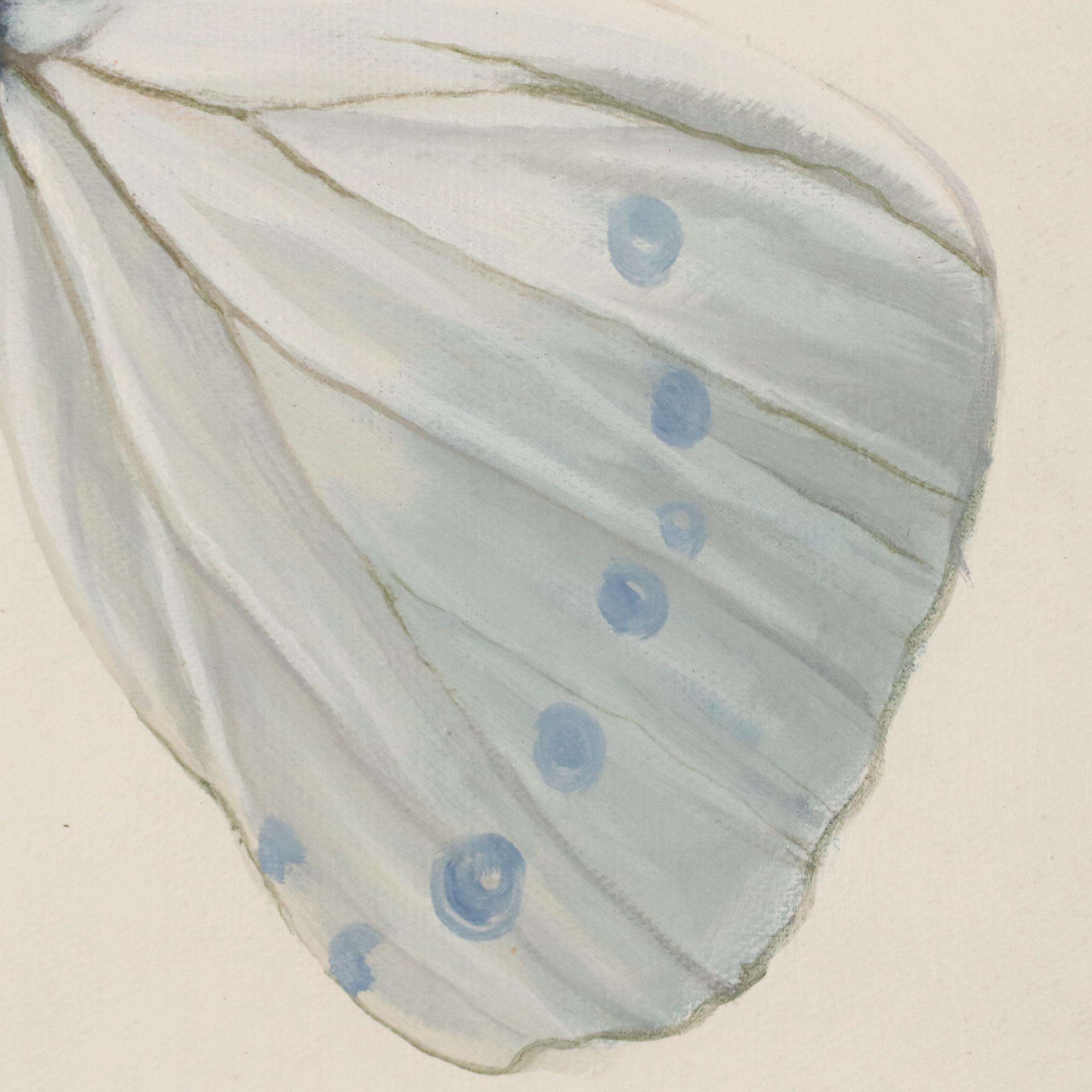 Castello Oil Painting of a Butterfly