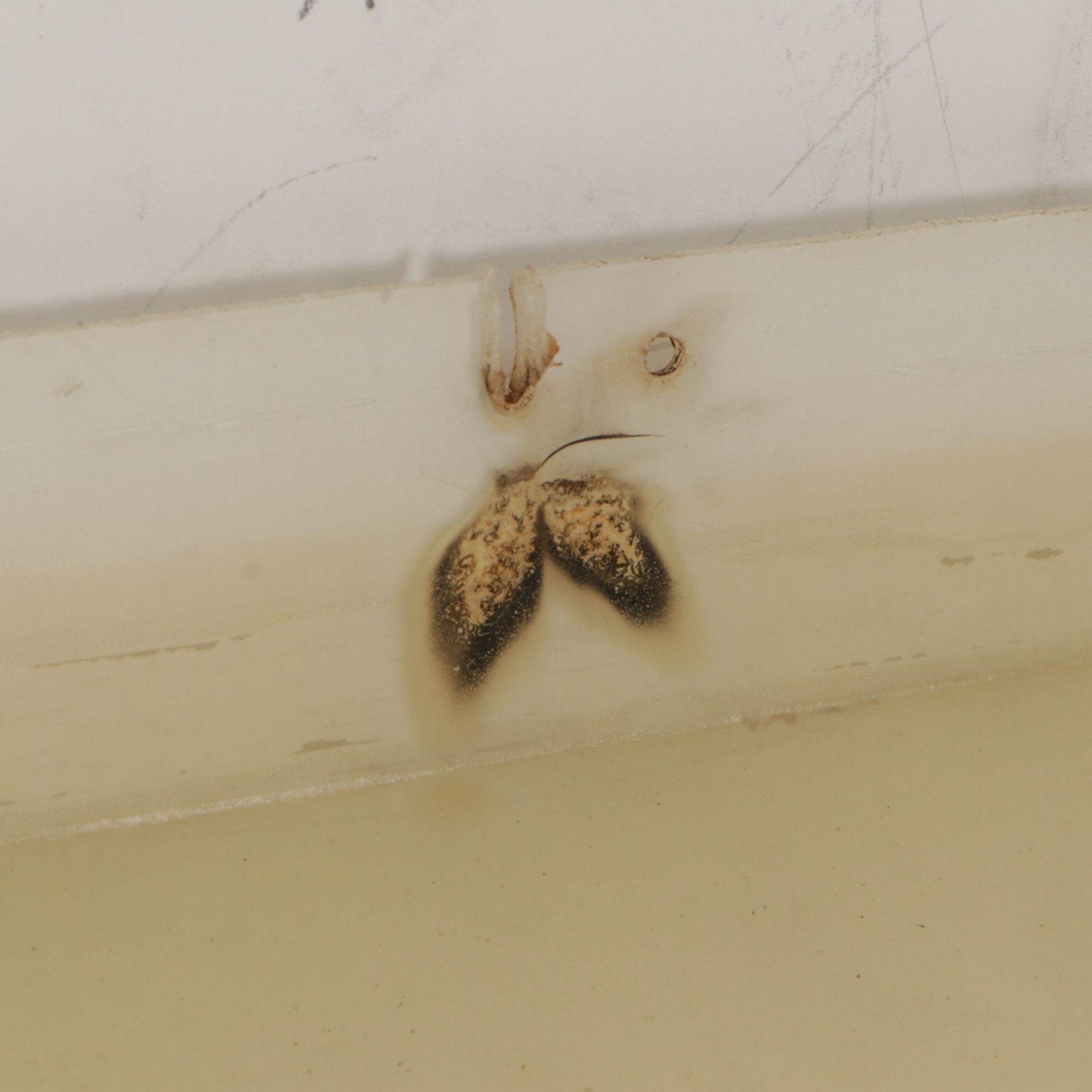 Plastic Castrol Motor Oil Advertising Sign