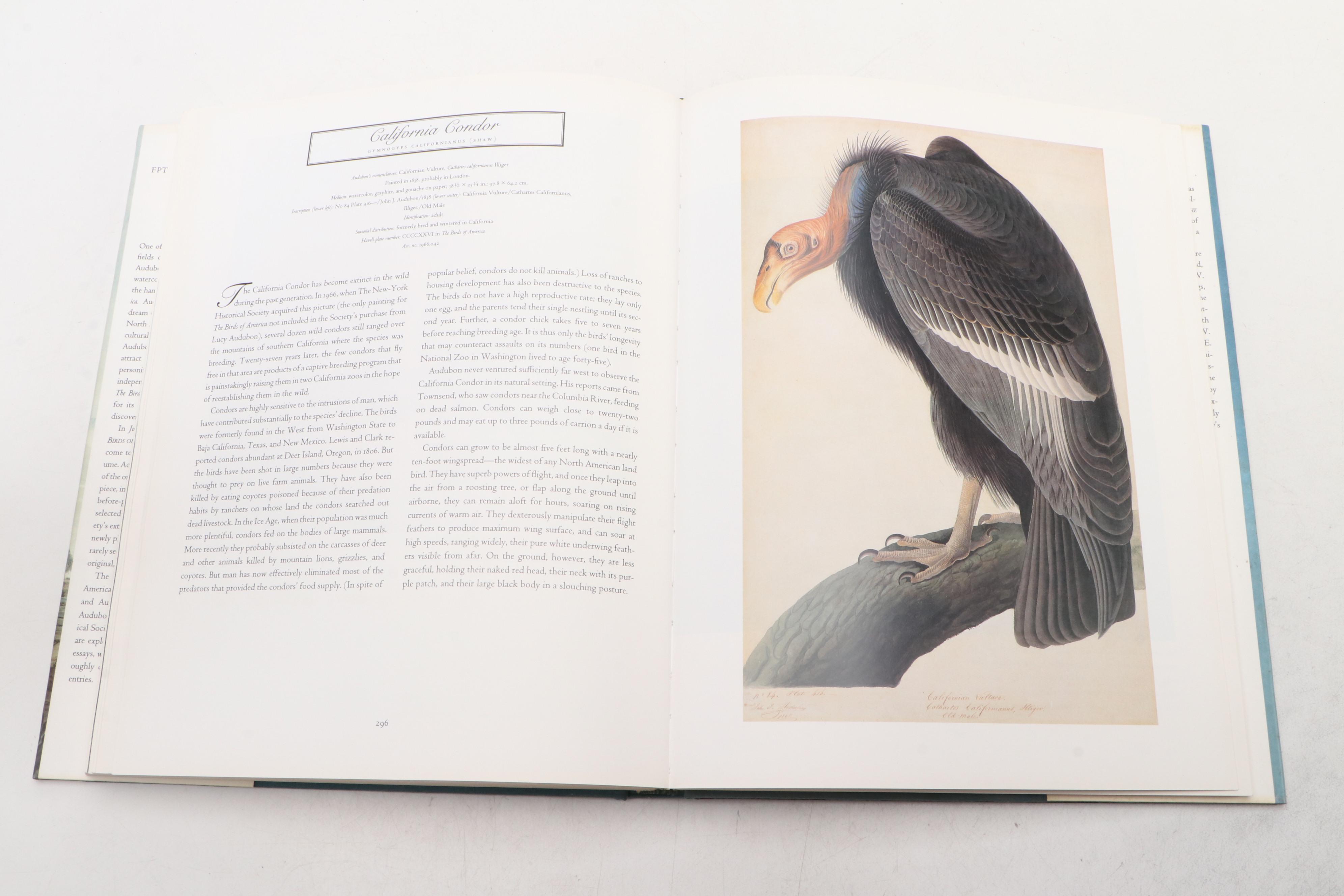 First Printing "John James Audubon: Watercolors for The Birds of America," 1993