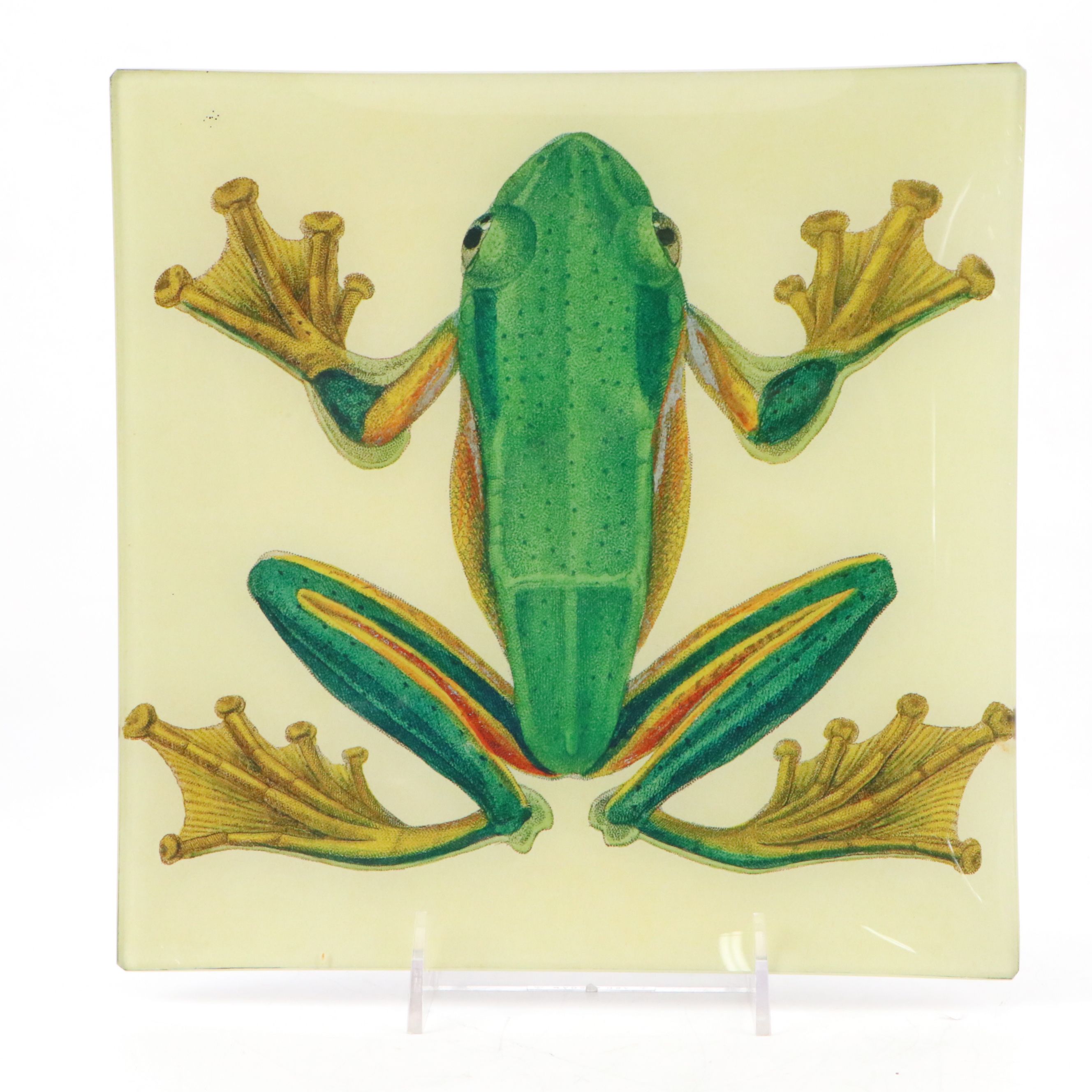 Bordallo Pinheiro Portuguese Green and Austrian Porcelain Plates