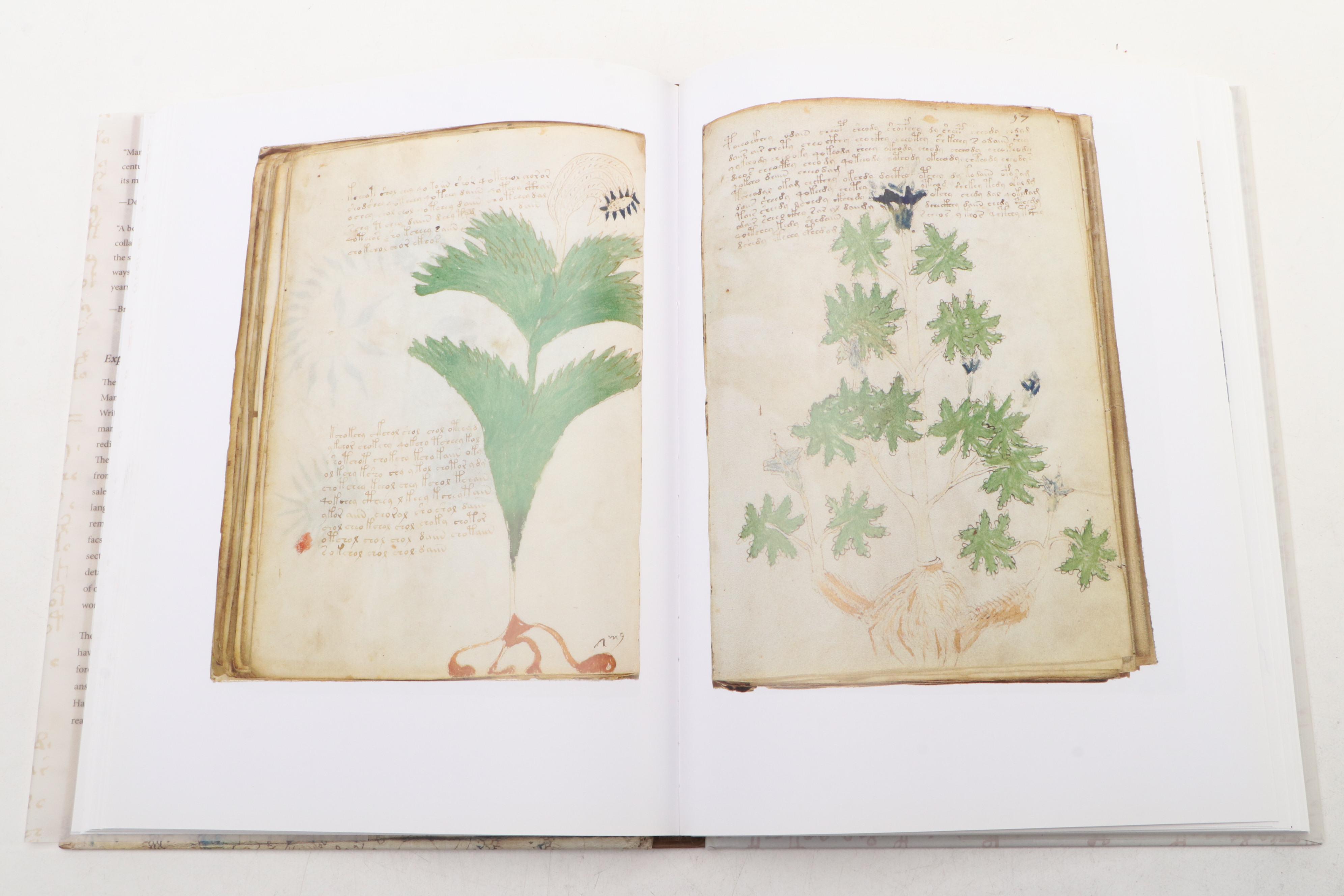First Edition "The Voynich Manuscript" Edited by Raymond Clemens and More Books