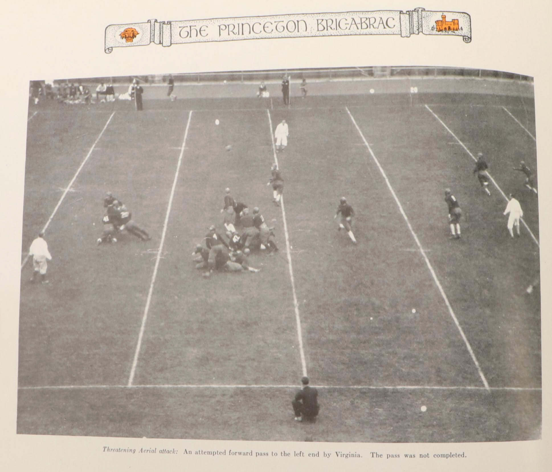 First Edition "The Voynich Manuscript" Edited by Raymond Clemens and More Books