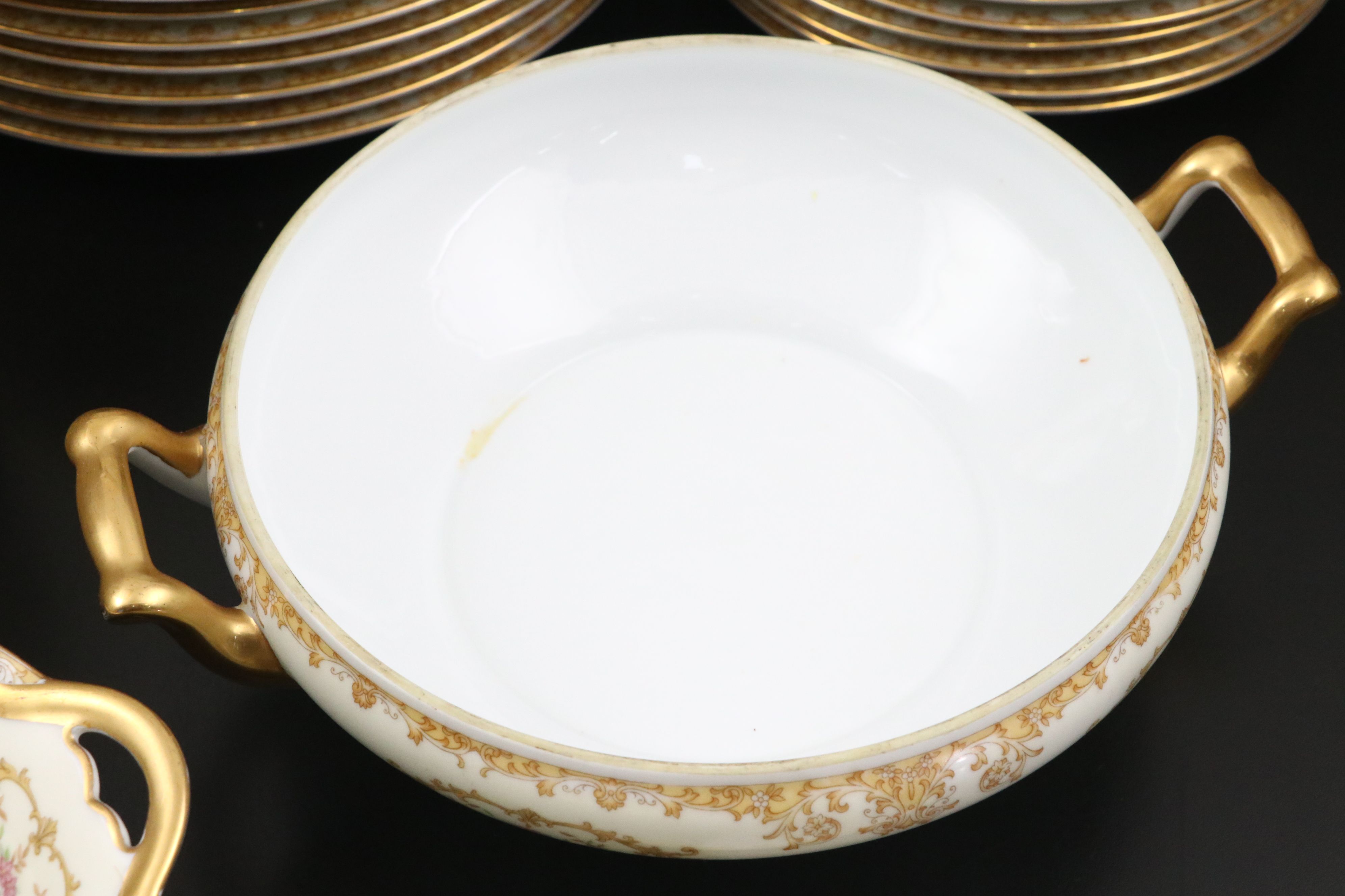 Noritake and Royal China "Southern Charm" Porcelain Dinnerware