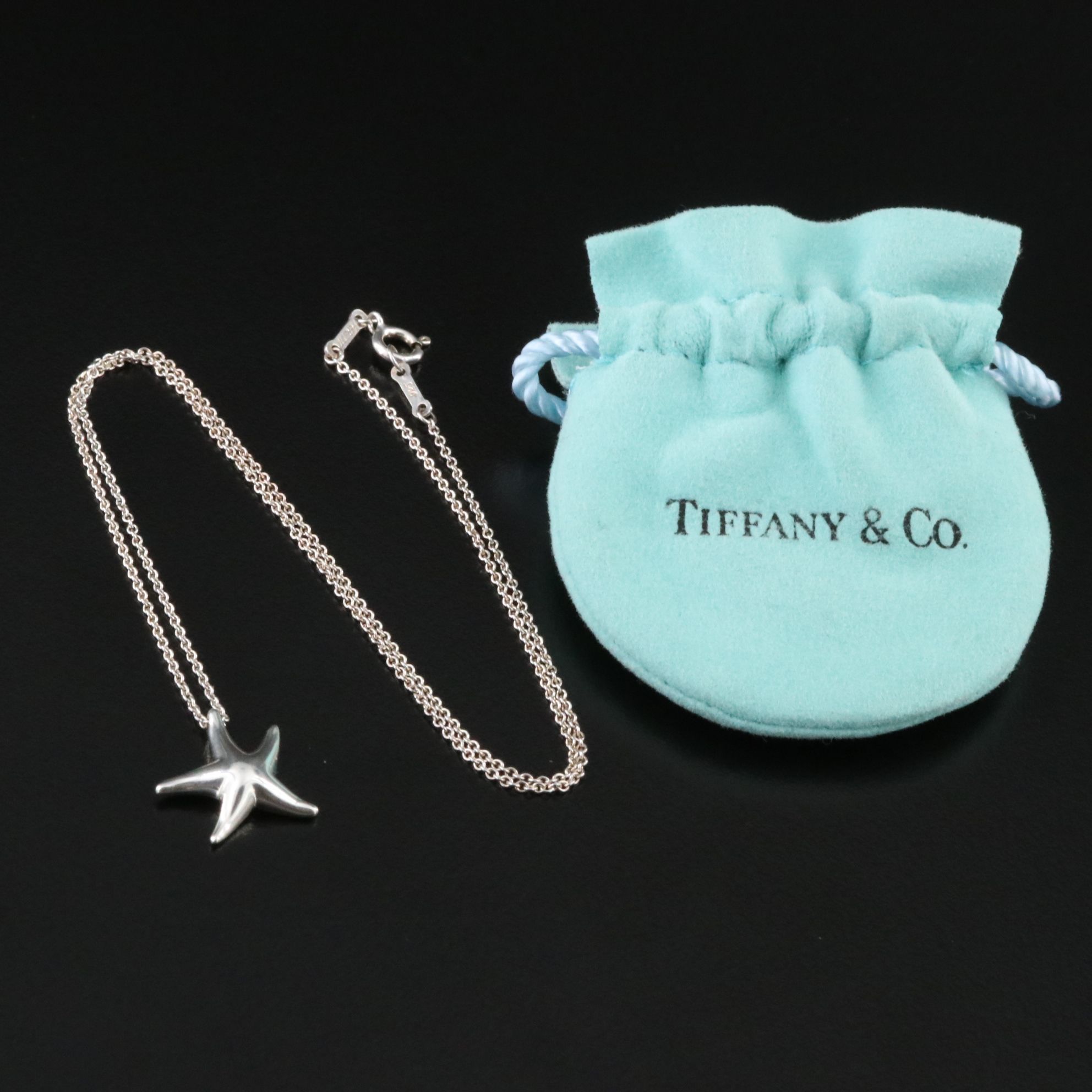 Elsa Peretti for Tiffany & Co. Sterling Starfish Necklace