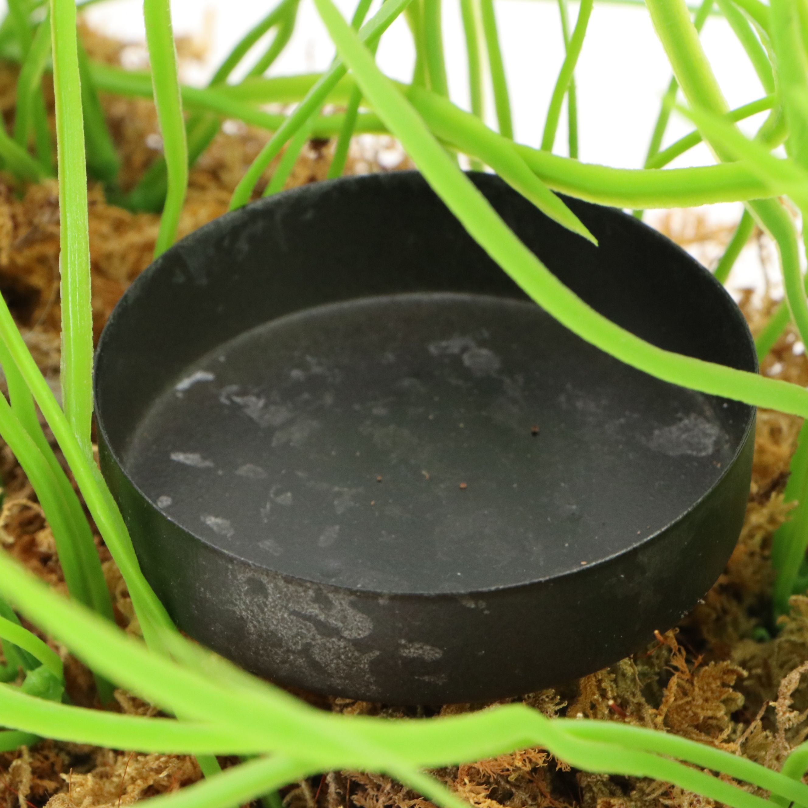 Dedham and Gail Pittman Ceramic Rabbits with Spring Grass Votive Candle Holder