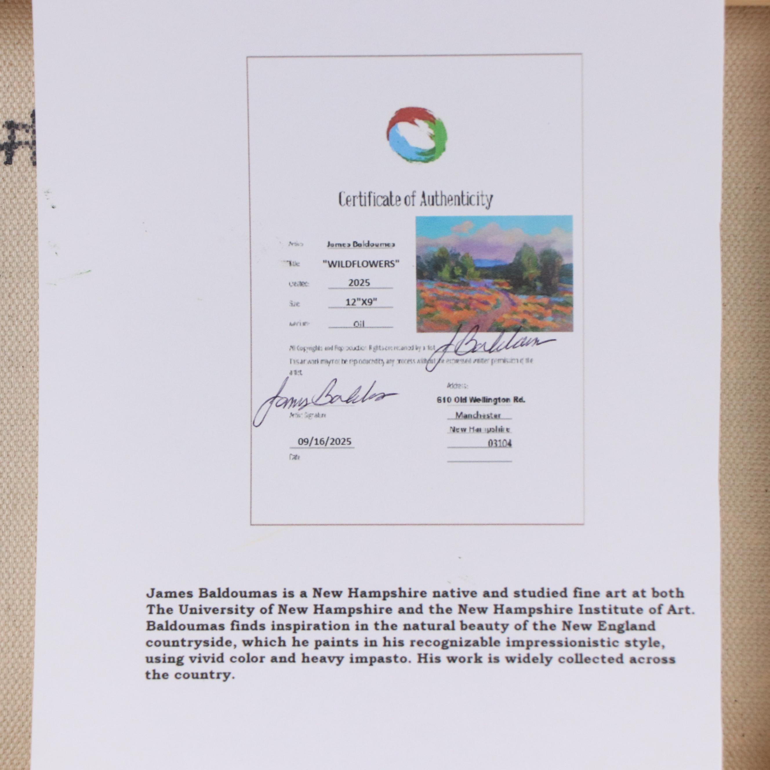 James Baldoumas Landscape Oil Painting "Wild Flowers," 2025