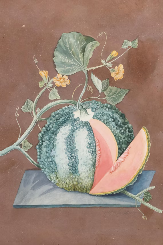 Jeffrey Lee Adler Still Life Watercolor Paintings