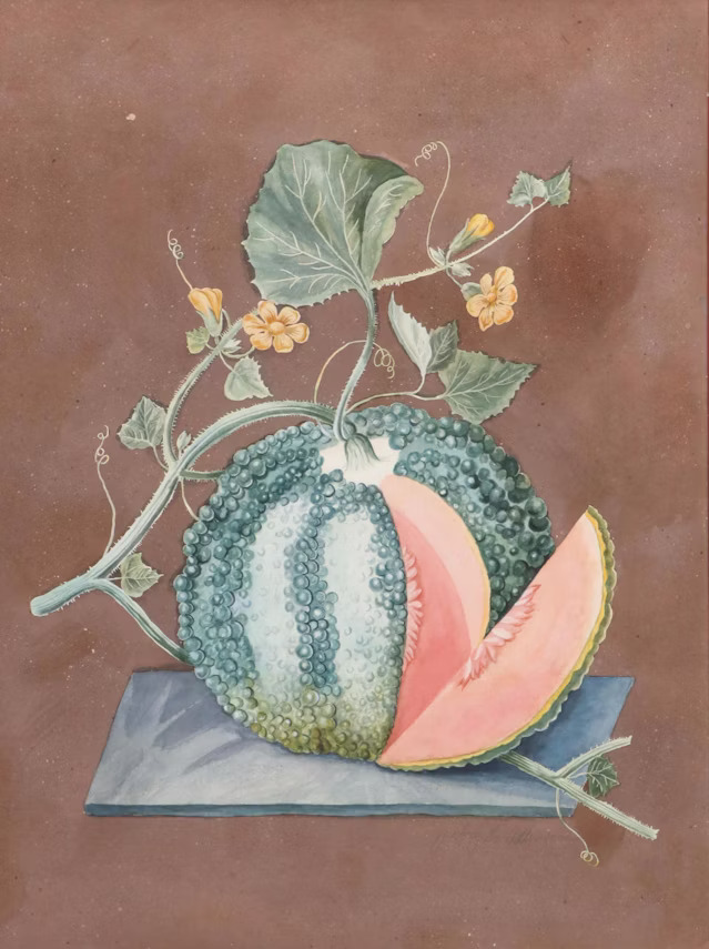 Jeffrey Lee Adler Still Life Watercolor Paintings