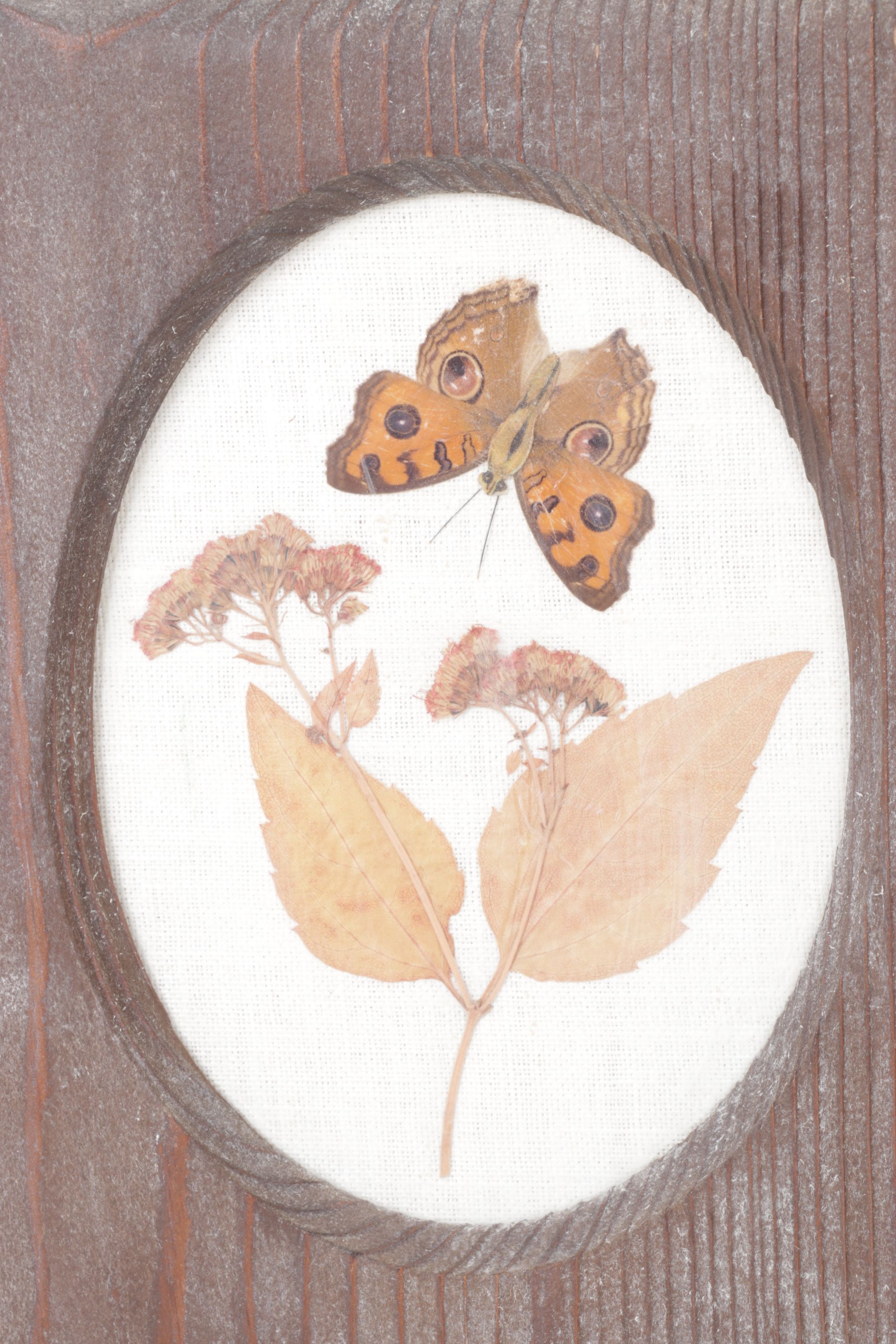 Pressed Flower & Butterfly Framed Wall Decor
