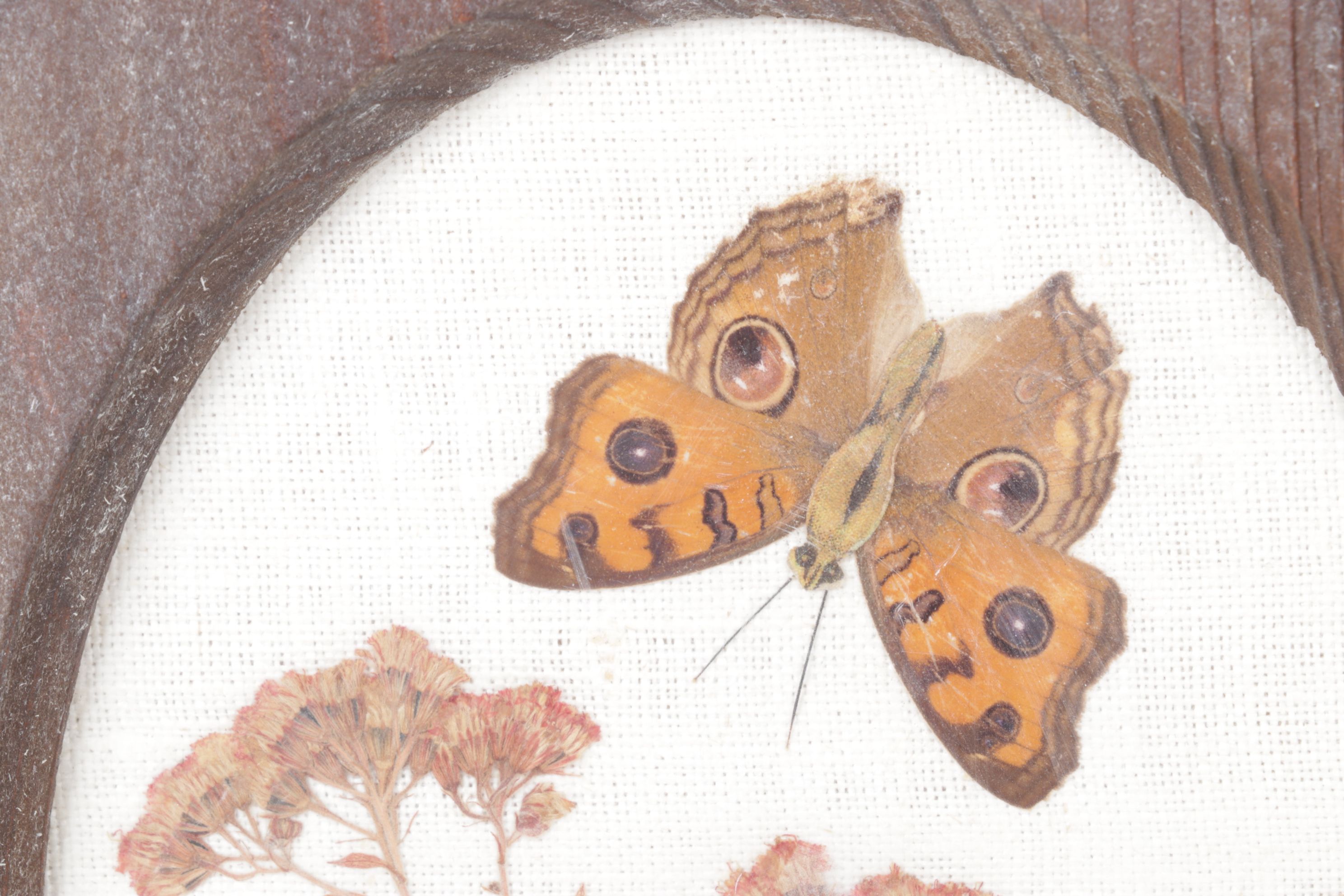 Pressed Flower & Butterfly Framed Wall Decor