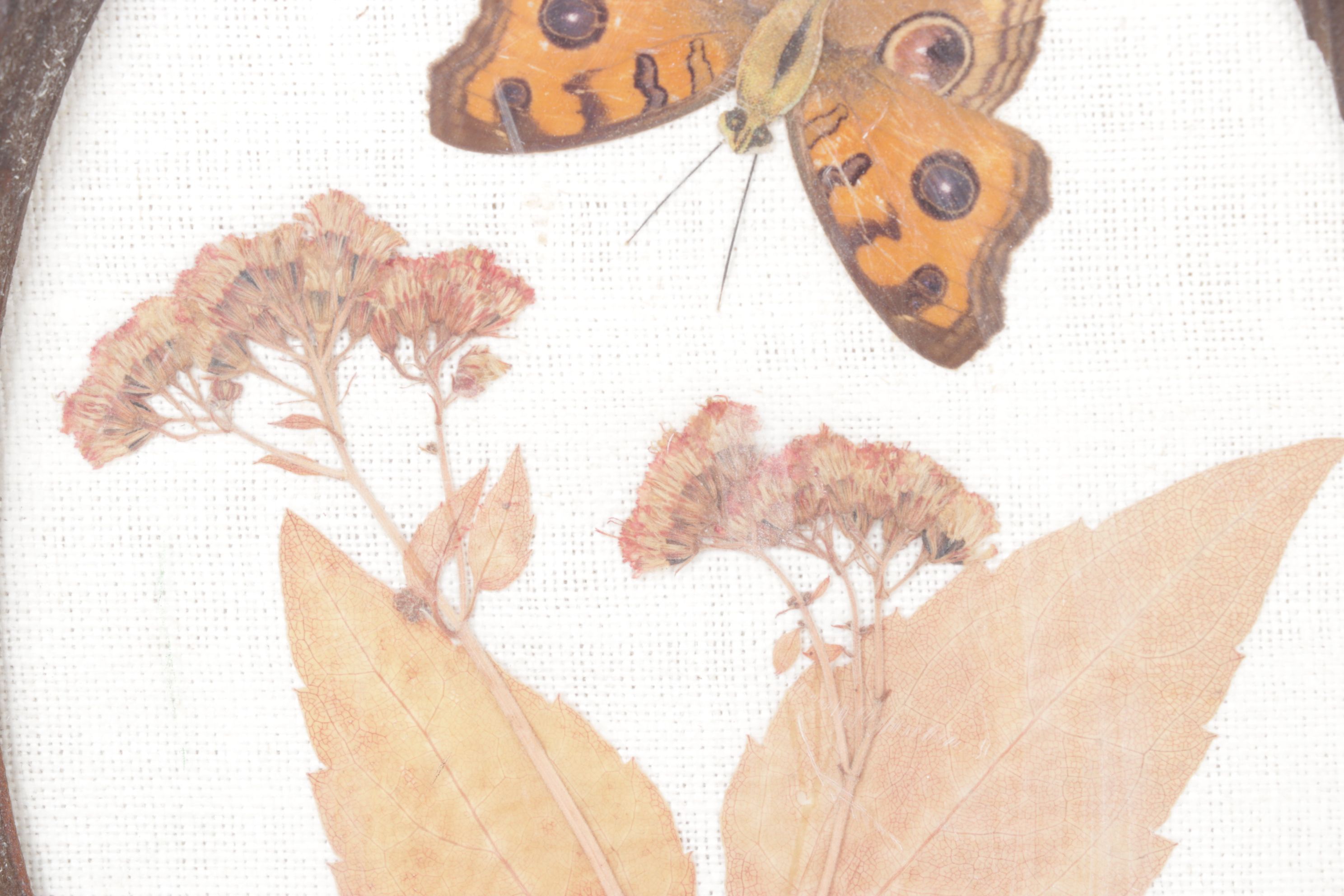 Pressed Flower & Butterfly Framed Wall Decor