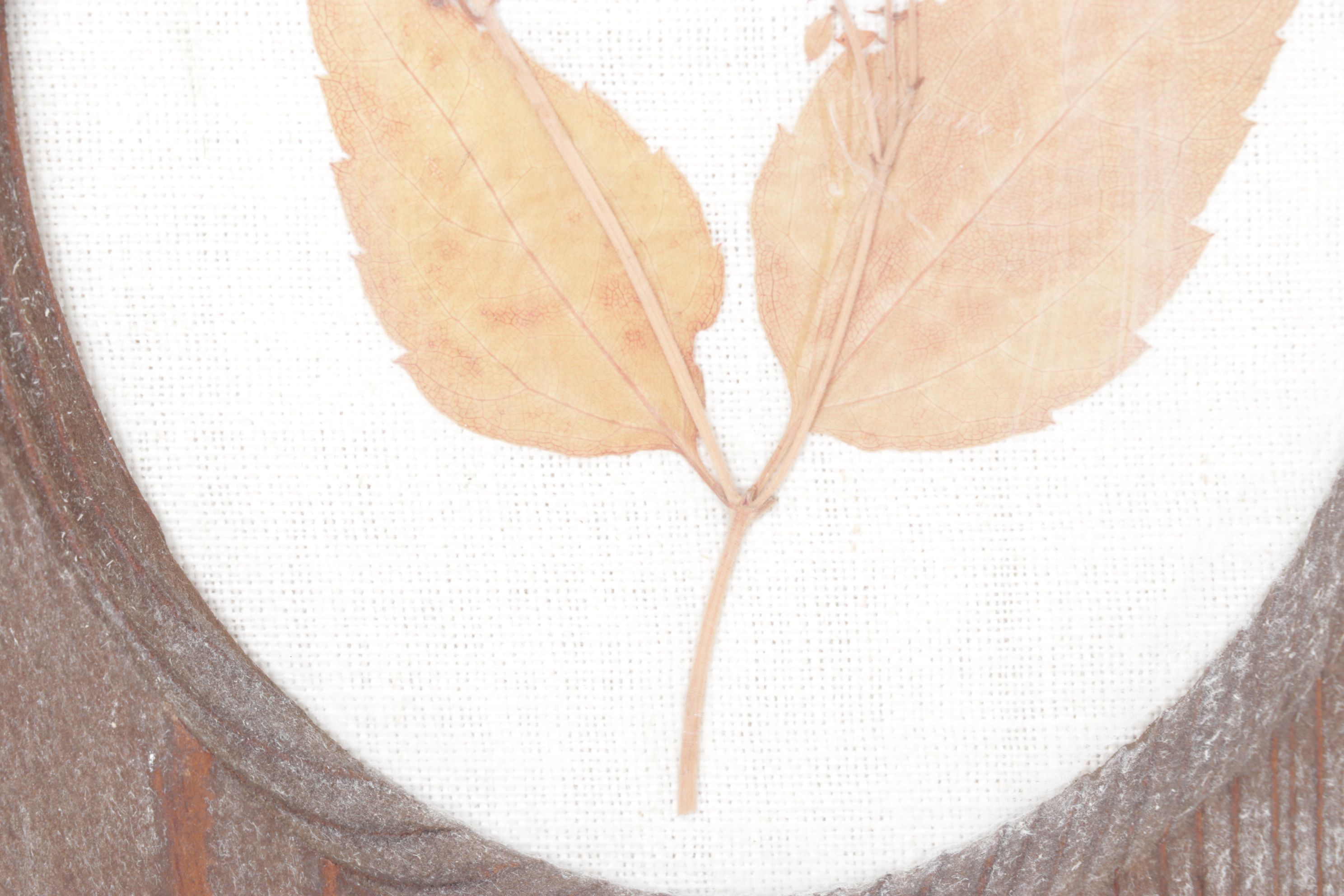 Pressed Flower & Butterfly Framed Wall Decor