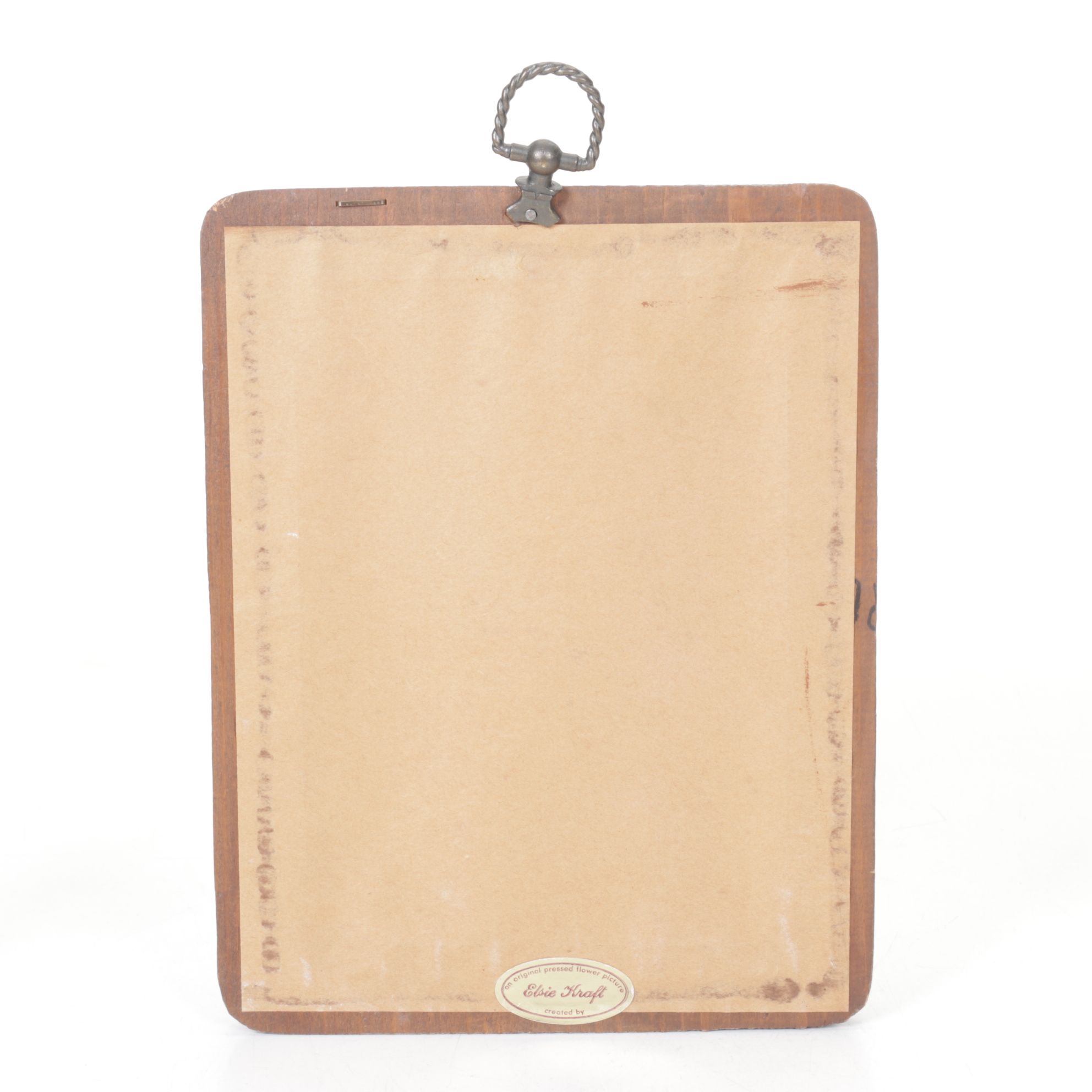 Pressed Flower & Butterfly Framed Wall Decor