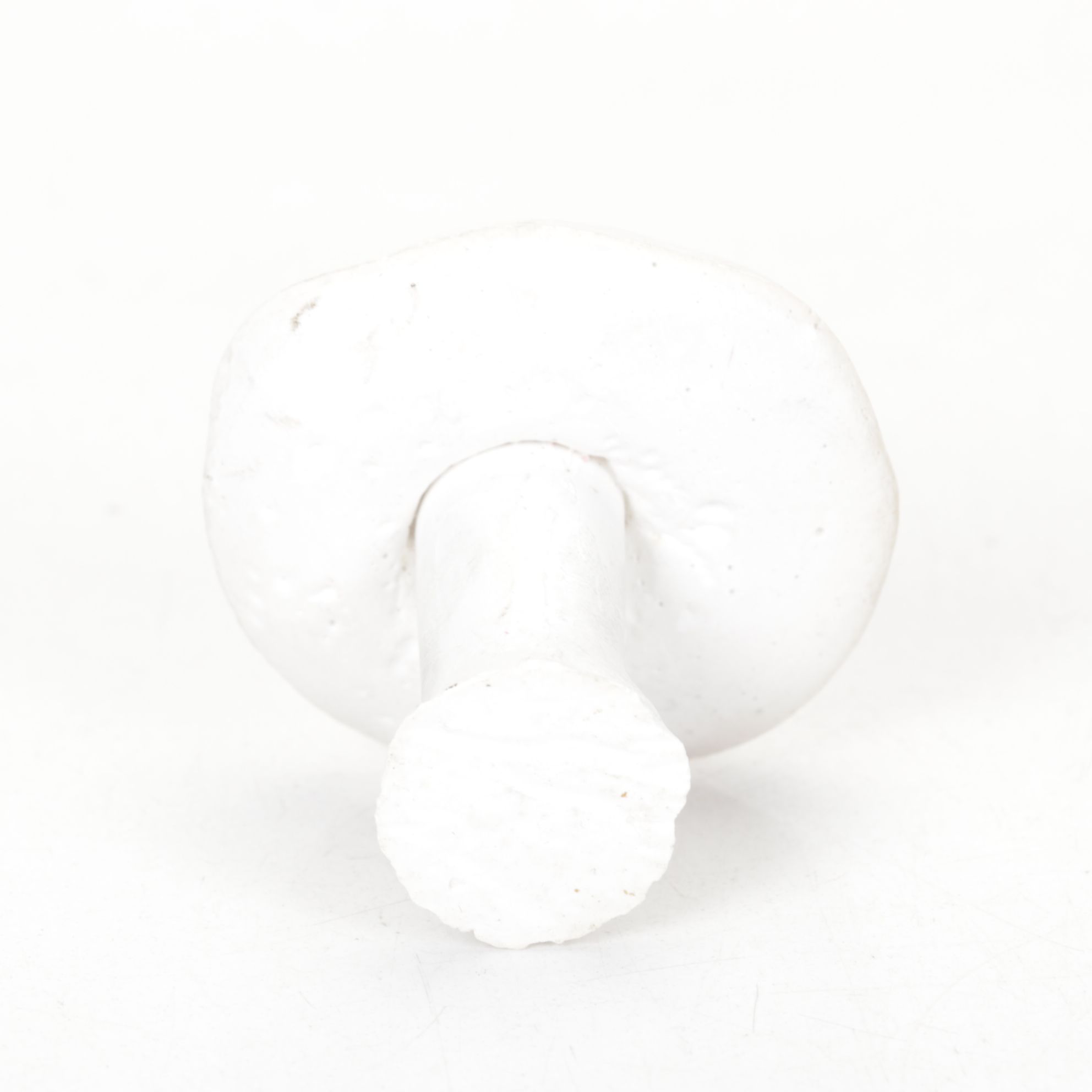 Bovano Enameled Metal Shell-Shaped Ashtray, Wood Leaf-Shaped Tray and More