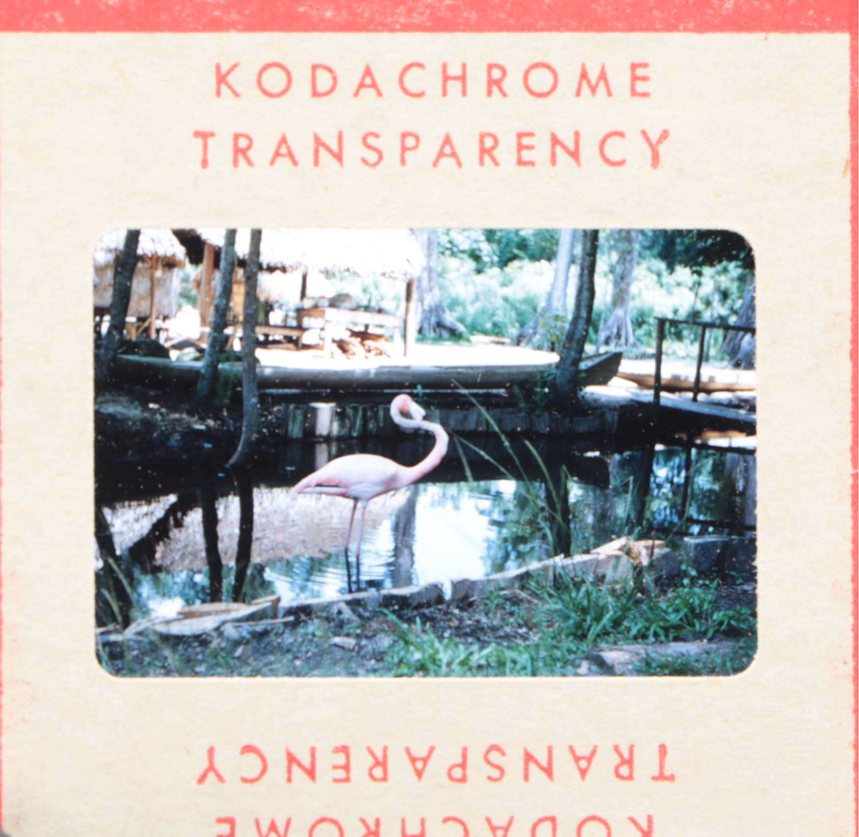 Argus 200 Slide Projector in Portable Case with Slides, 1950s