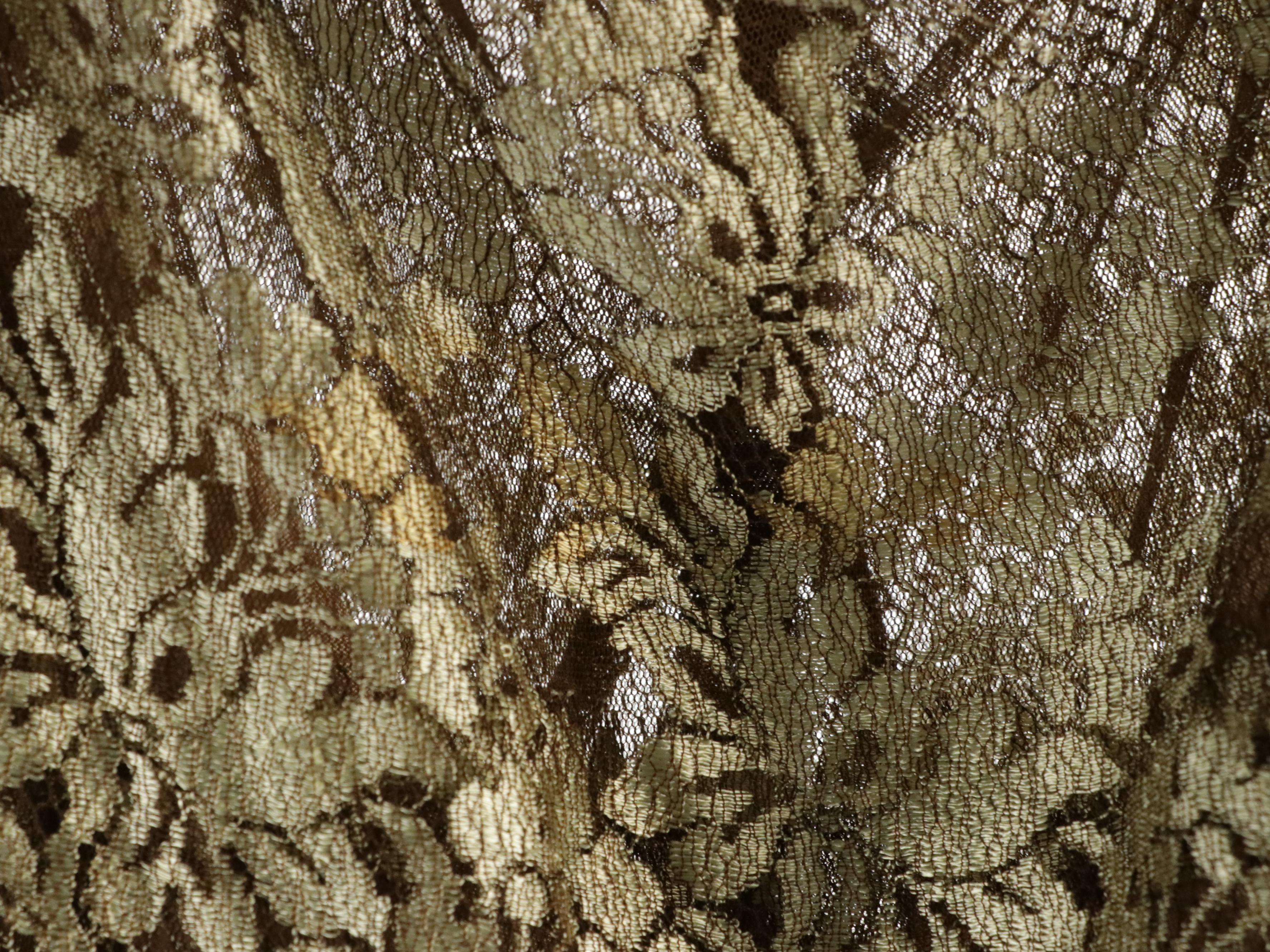 Catherine Regehr Ruched Silk and Farinae Lace Evening Gowns, Other Skirts & More