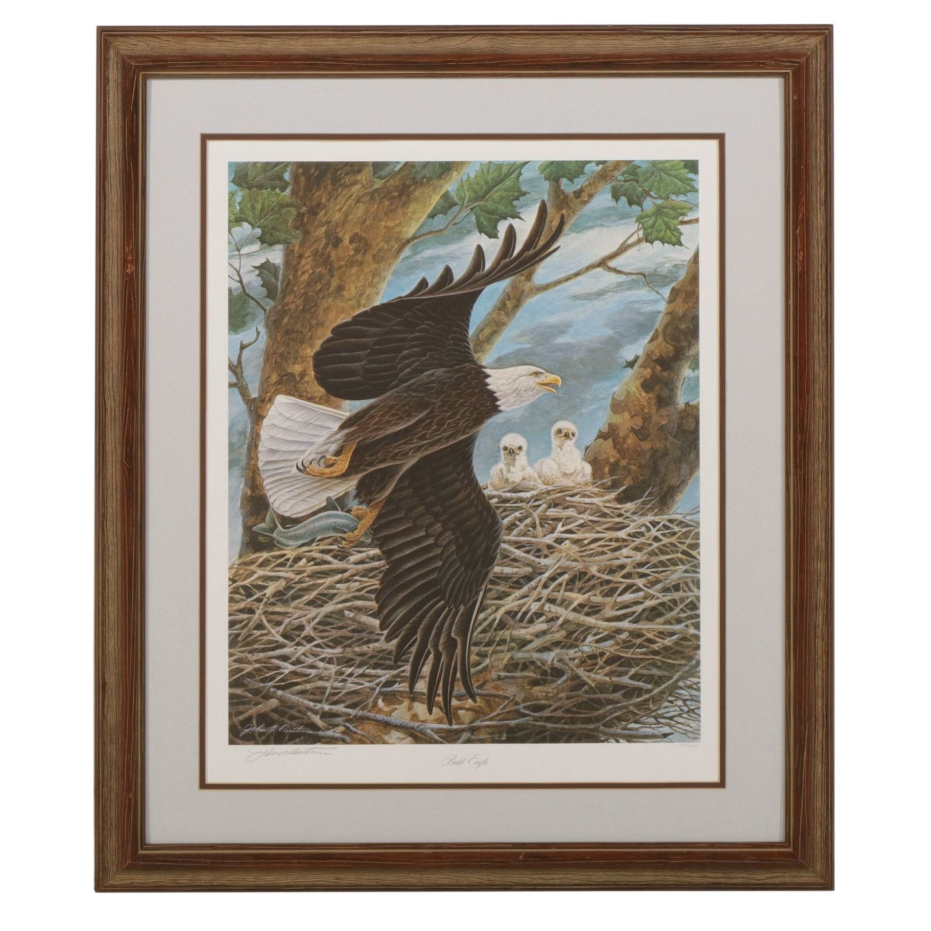 John A. Ruthven "Bald Eagle" Offset Lithograph, Late 20th to Early 21st Century