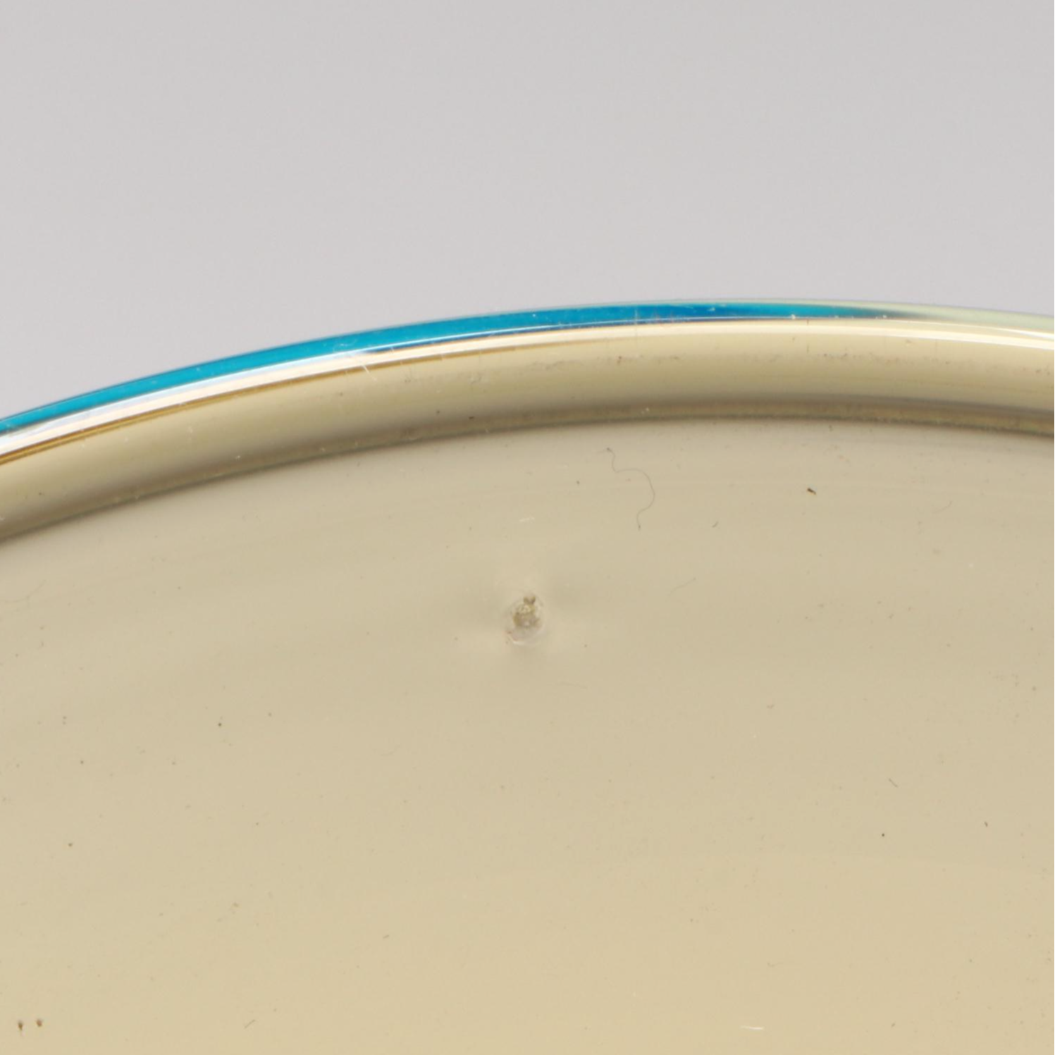 Steuben Amber and Celeste Blue Art Glass Twist Stem Tulip Candlestick