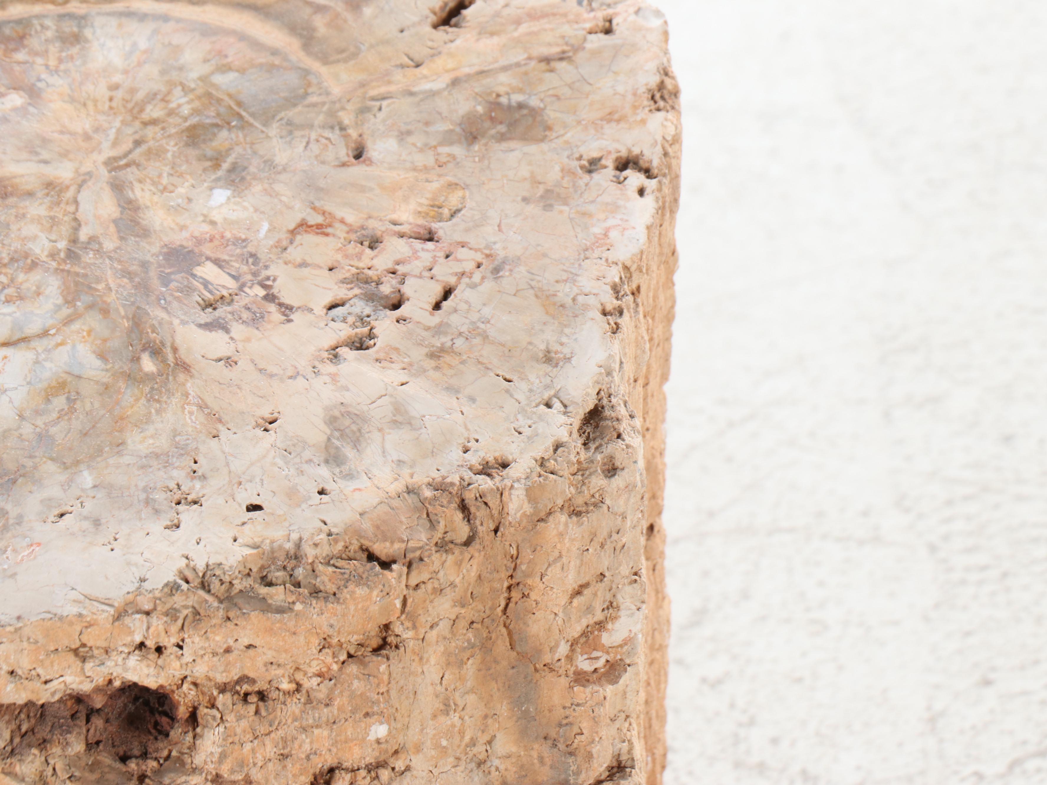 Petrified Wood Stool