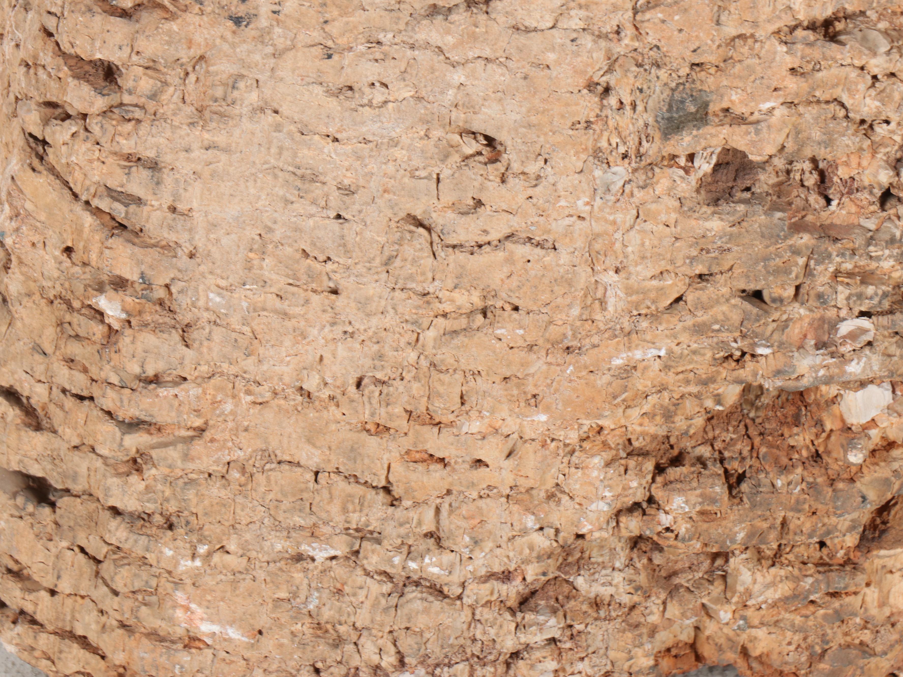 Petrified Wood Stool