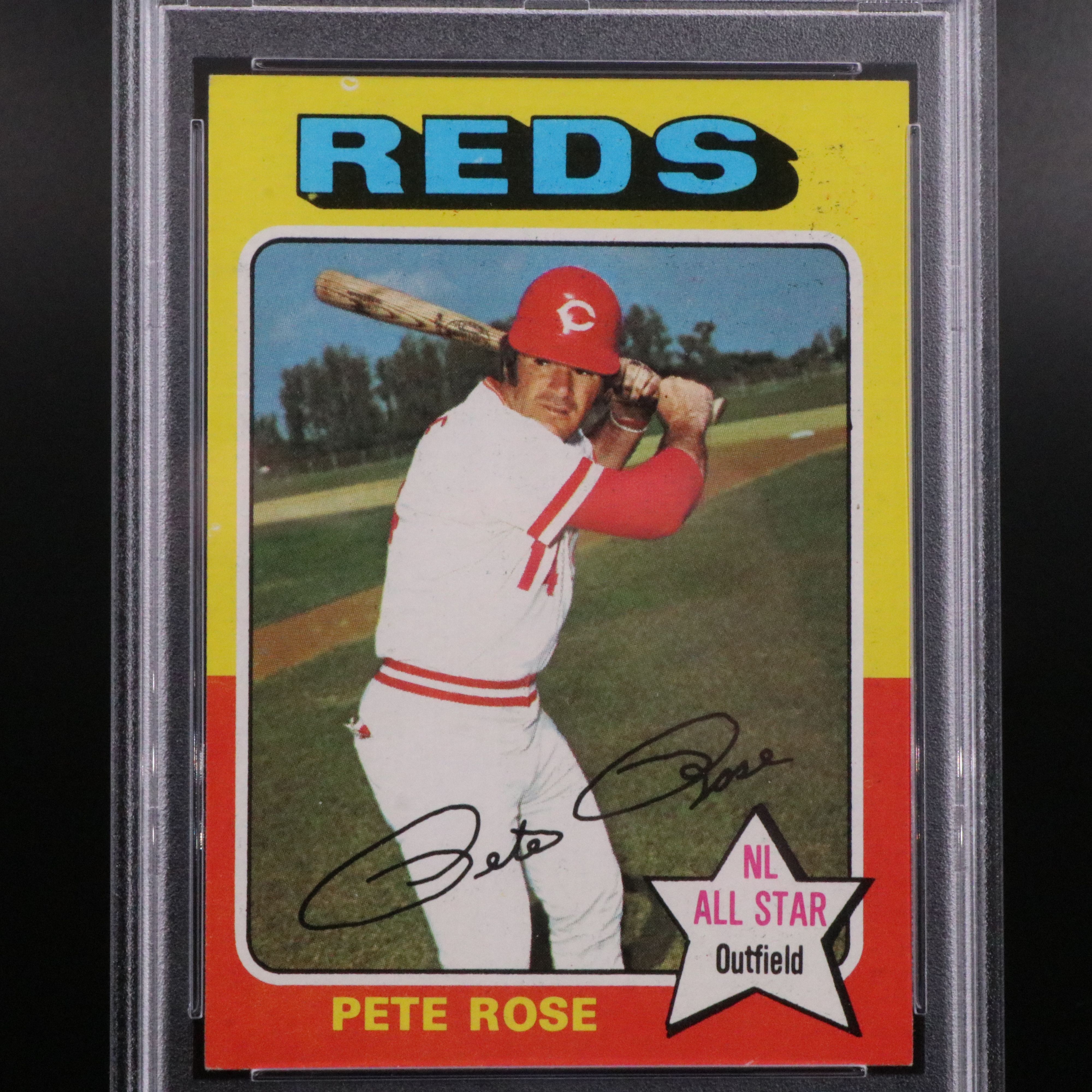 Pete Rose SGC and PSA Graded Baseball Cards with Bronze Coin