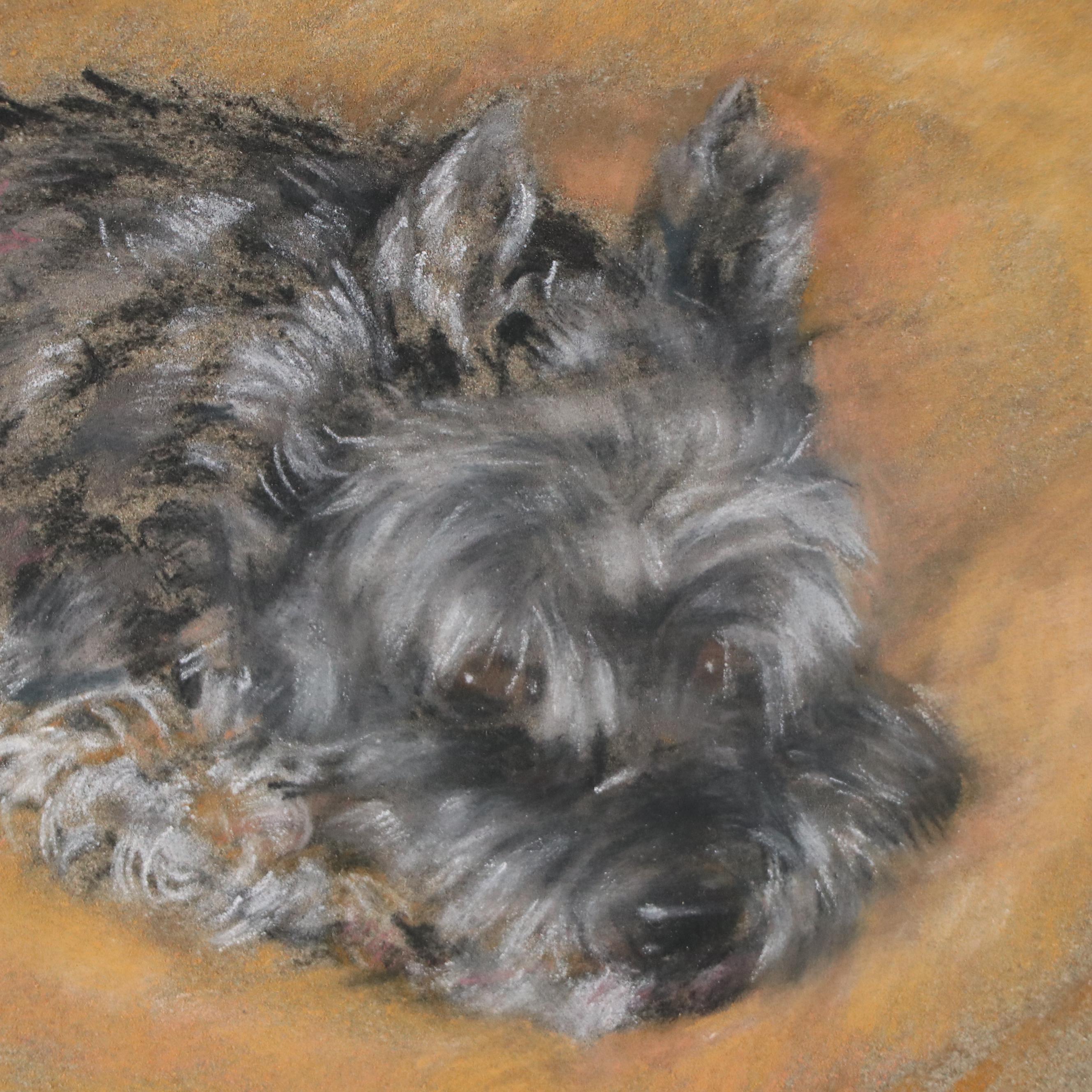Constance Coleman Pastel Drawing of Sleepy Scottish Terrier, 2007