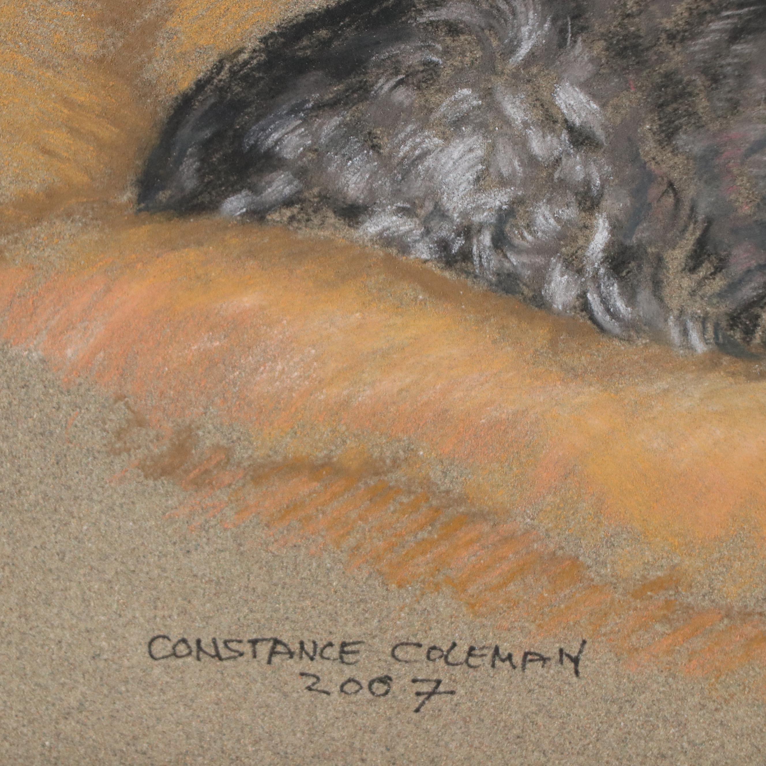 Constance Coleman Pastel Drawing of Sleepy Scottish Terrier, 2007