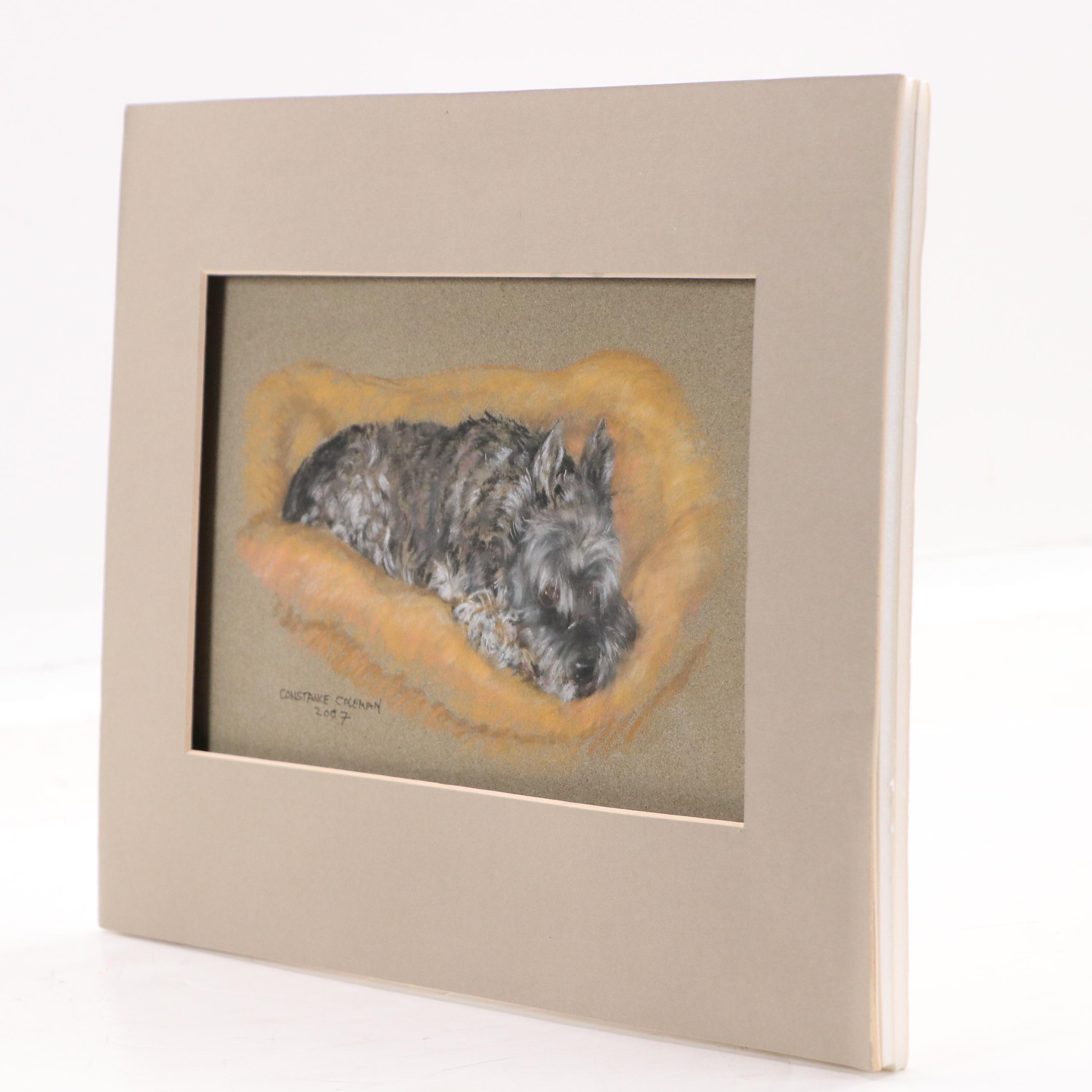 Constance Coleman Pastel Drawing of Sleepy Scottish Terrier, 2007
