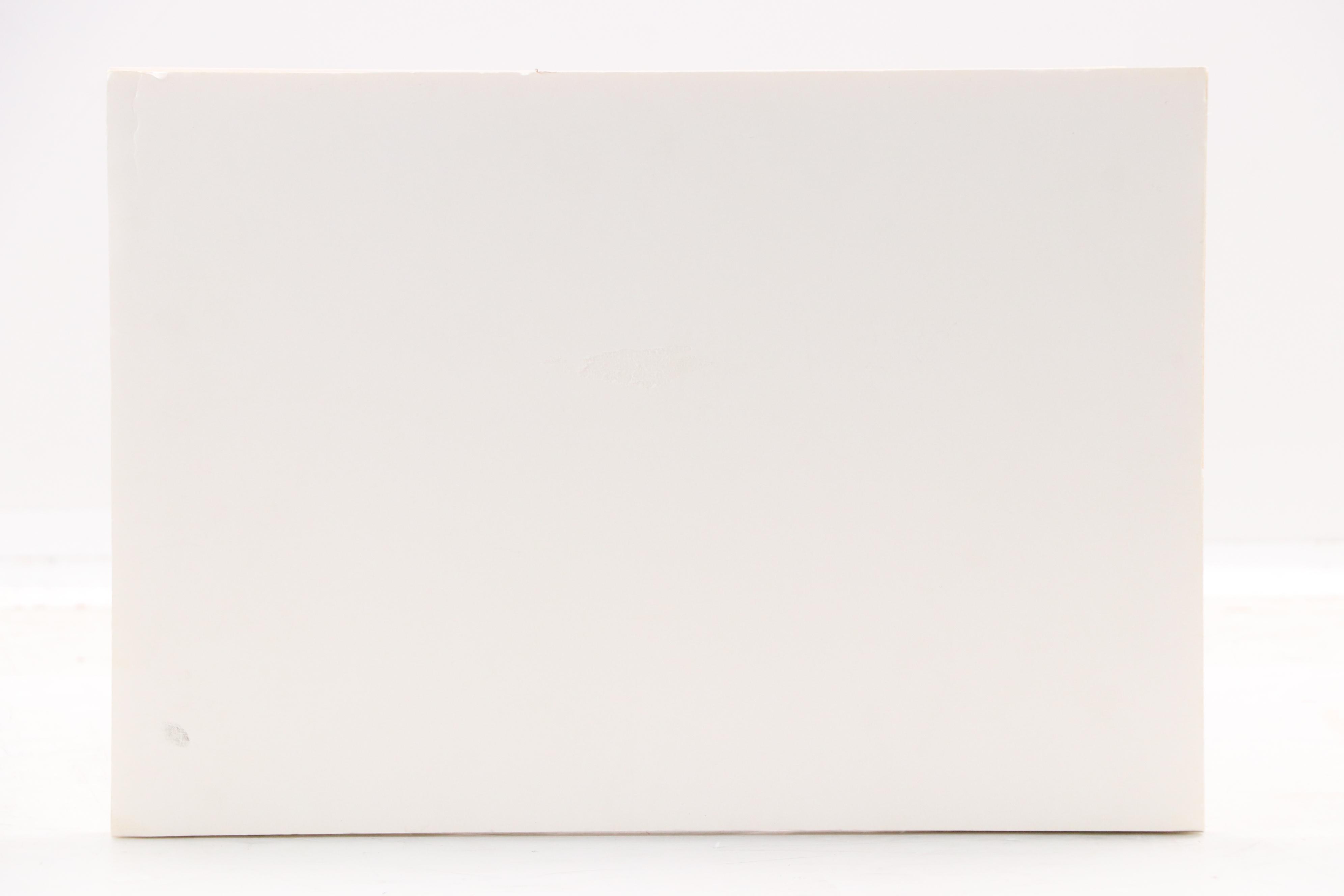 Constance Coleman Pastel Drawing of Sleepy Scottish Terrier, 2007