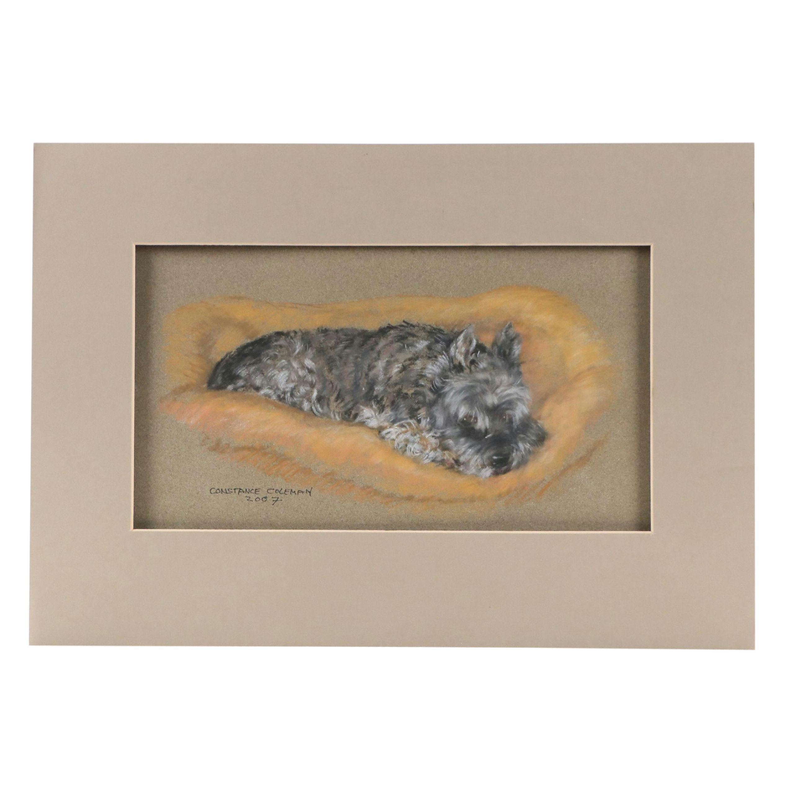 Constance Coleman Pastel Drawing of Sleepy Scottish Terrier, 2007