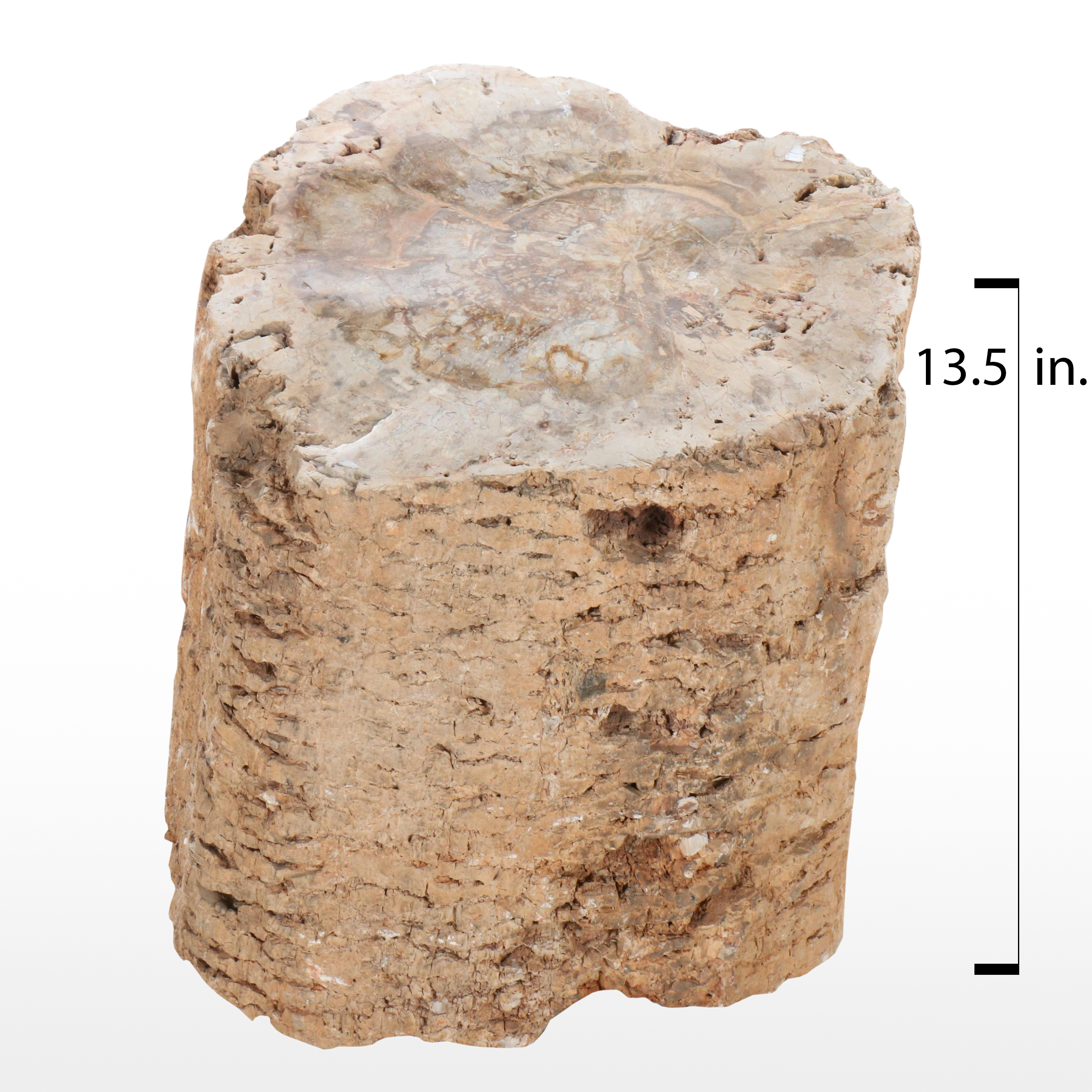 Petrified Wood Stool