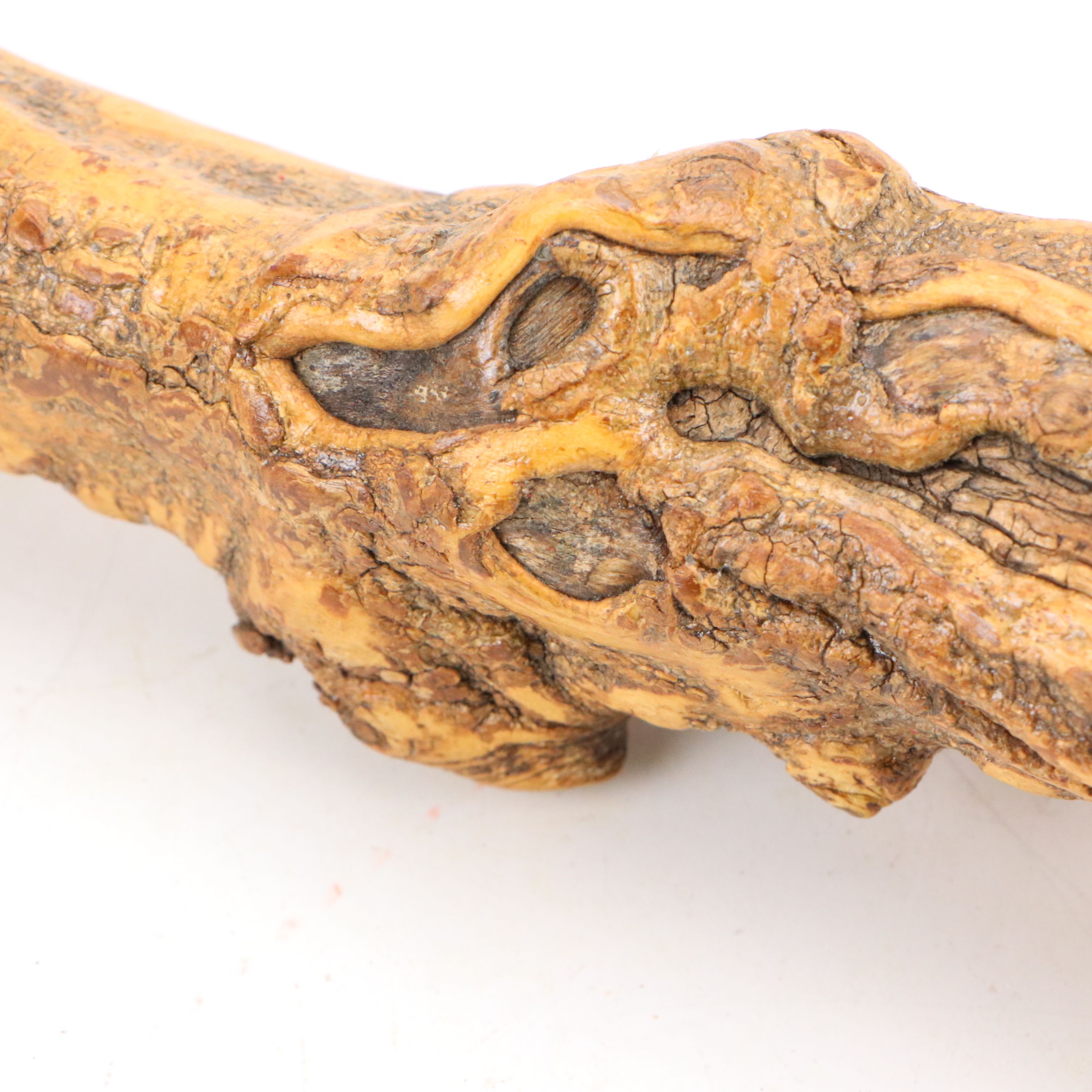 Robert Beaven Hand-Carved Folk Art Cane